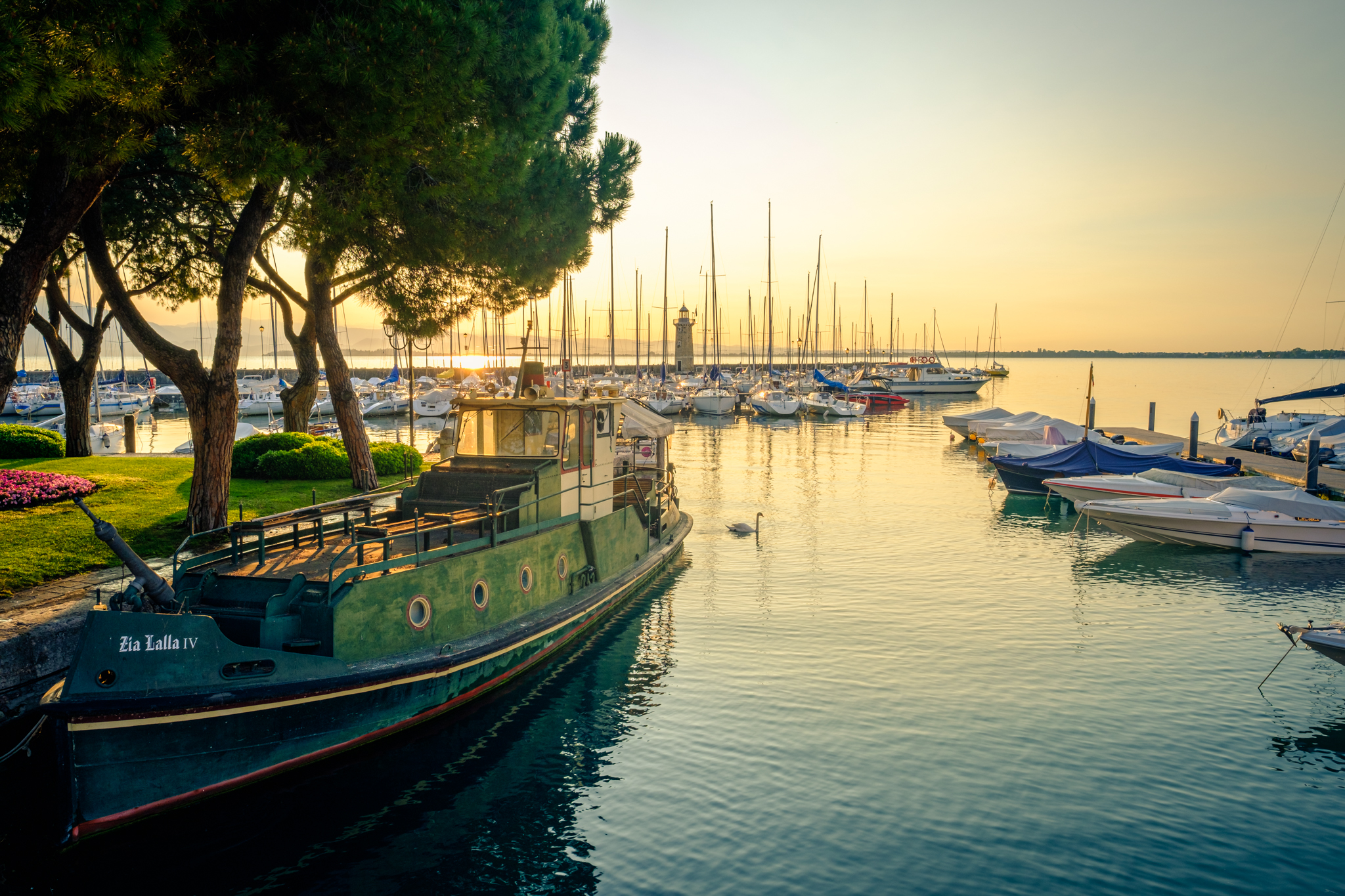 Alba Desenzano del Garda