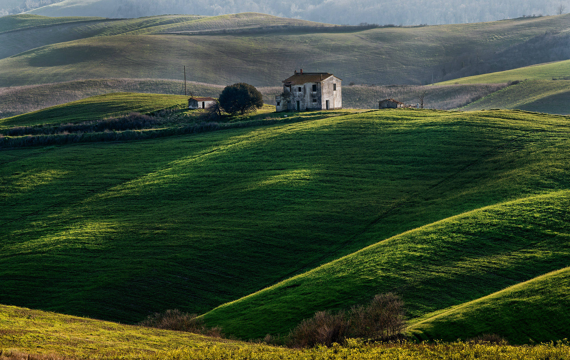 One day in tuscany...