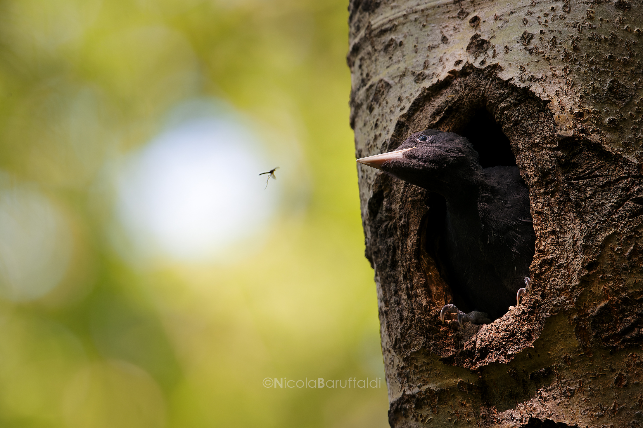 First contacts with the outside world