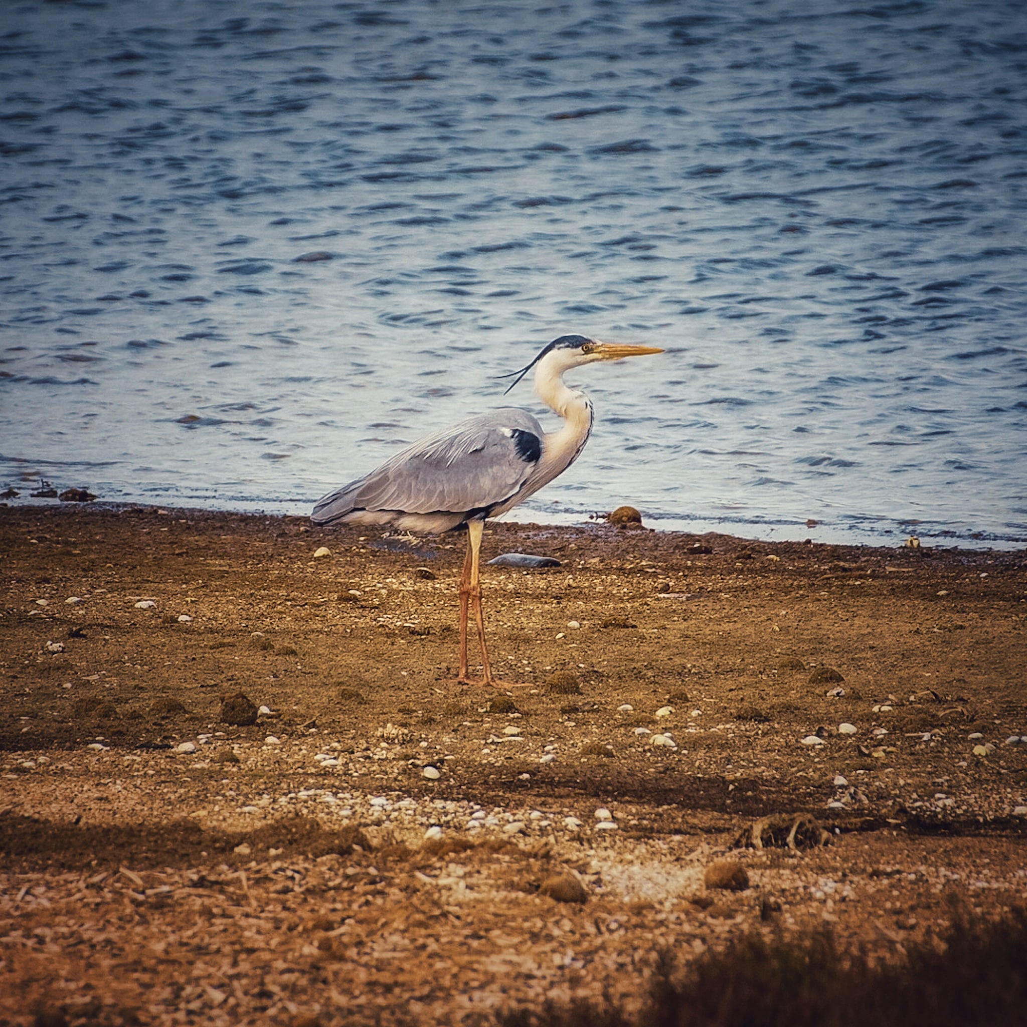 Riserva naturale August