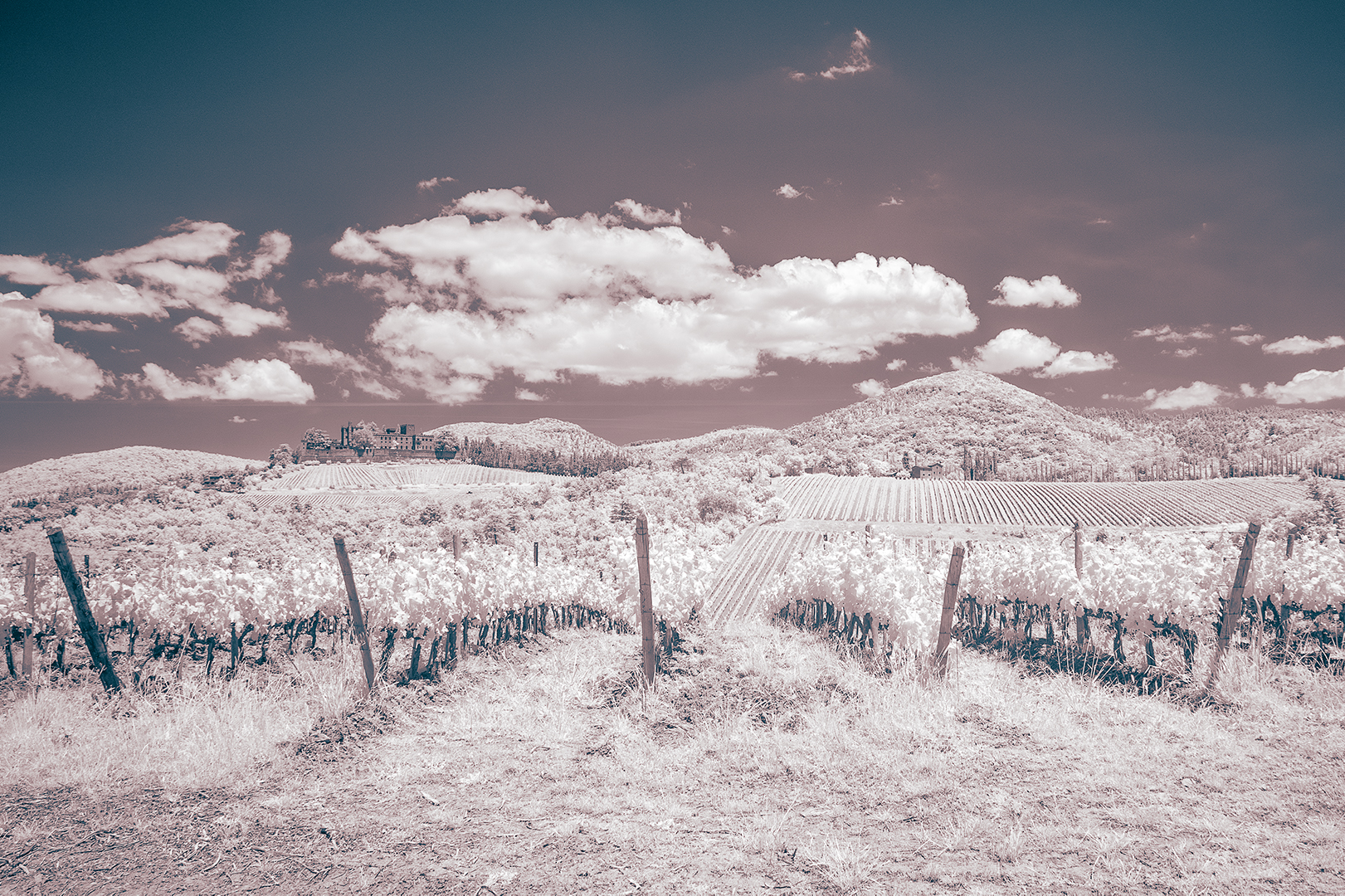 Le bianche colline del Chianti