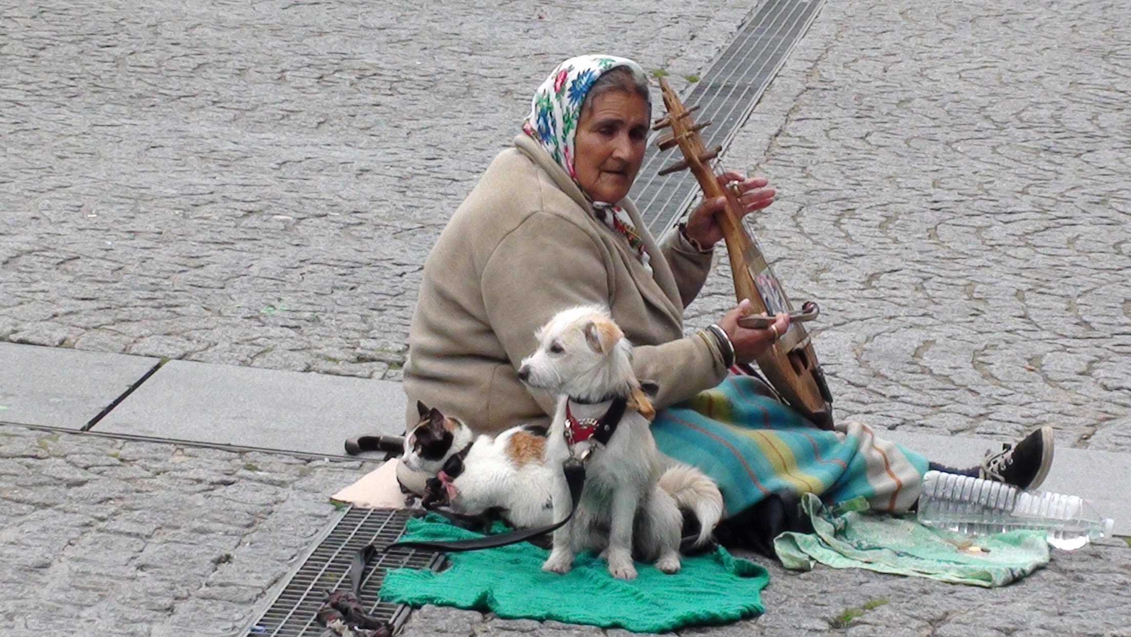Street musician