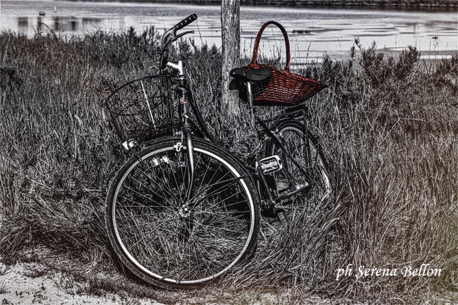 la bicicletta dimenticata