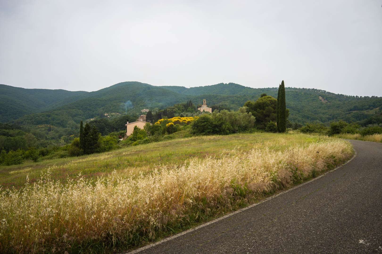 Parrana, Paran's Republic