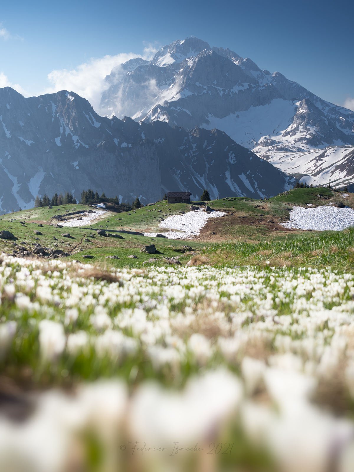 Spring on the Orobie