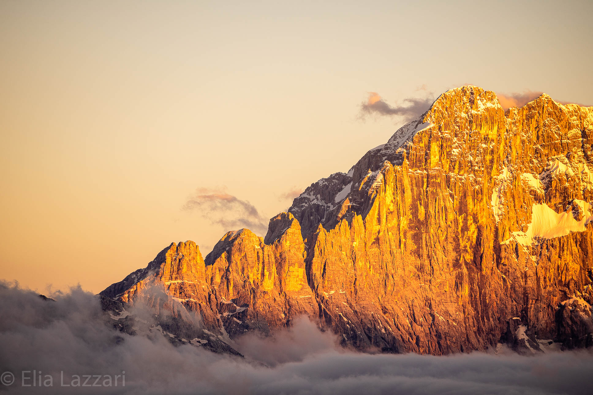 Wall of walls - Owl - 2