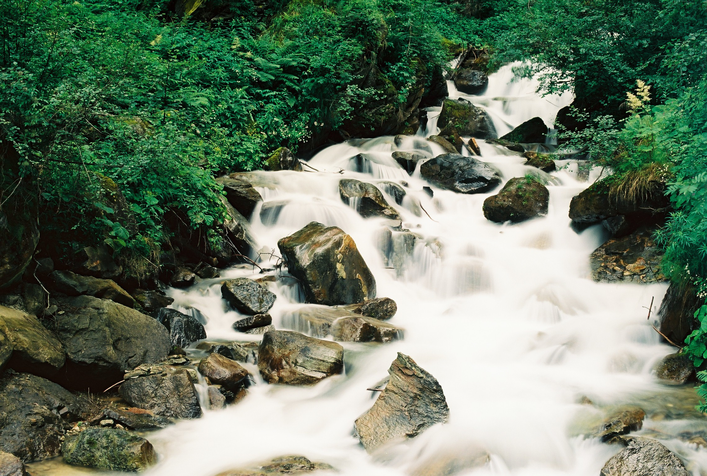 Cascata in Val di Rabbi - Kodak Ektar 100 Pro