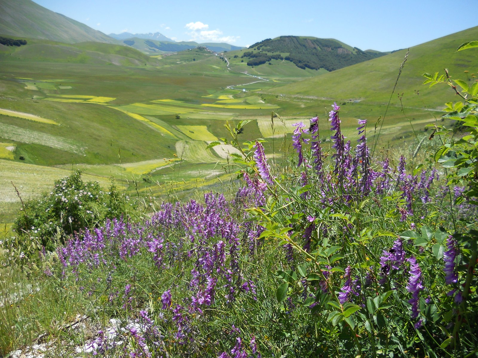 Castelluccio of Norcia