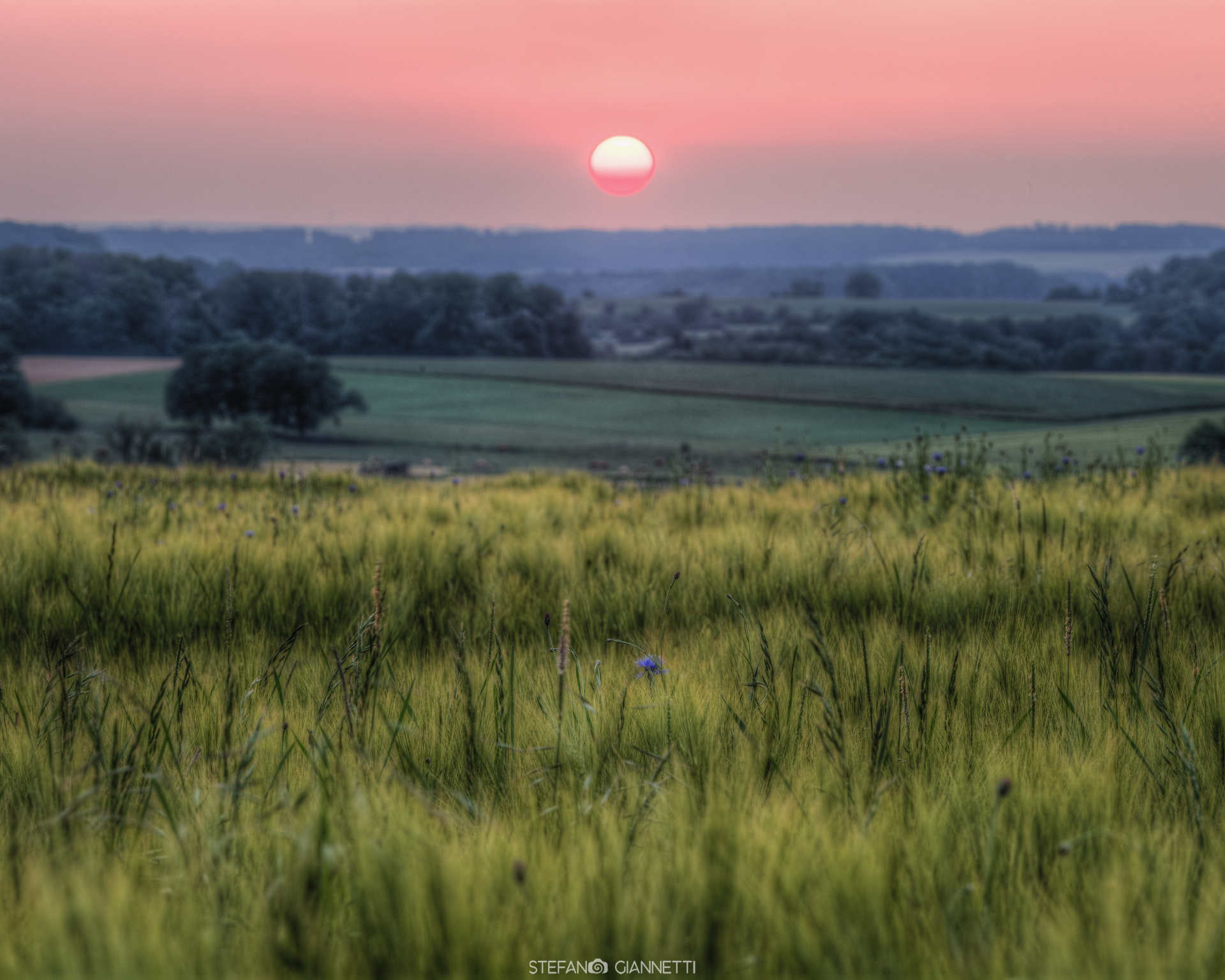 tramonto tra i campi