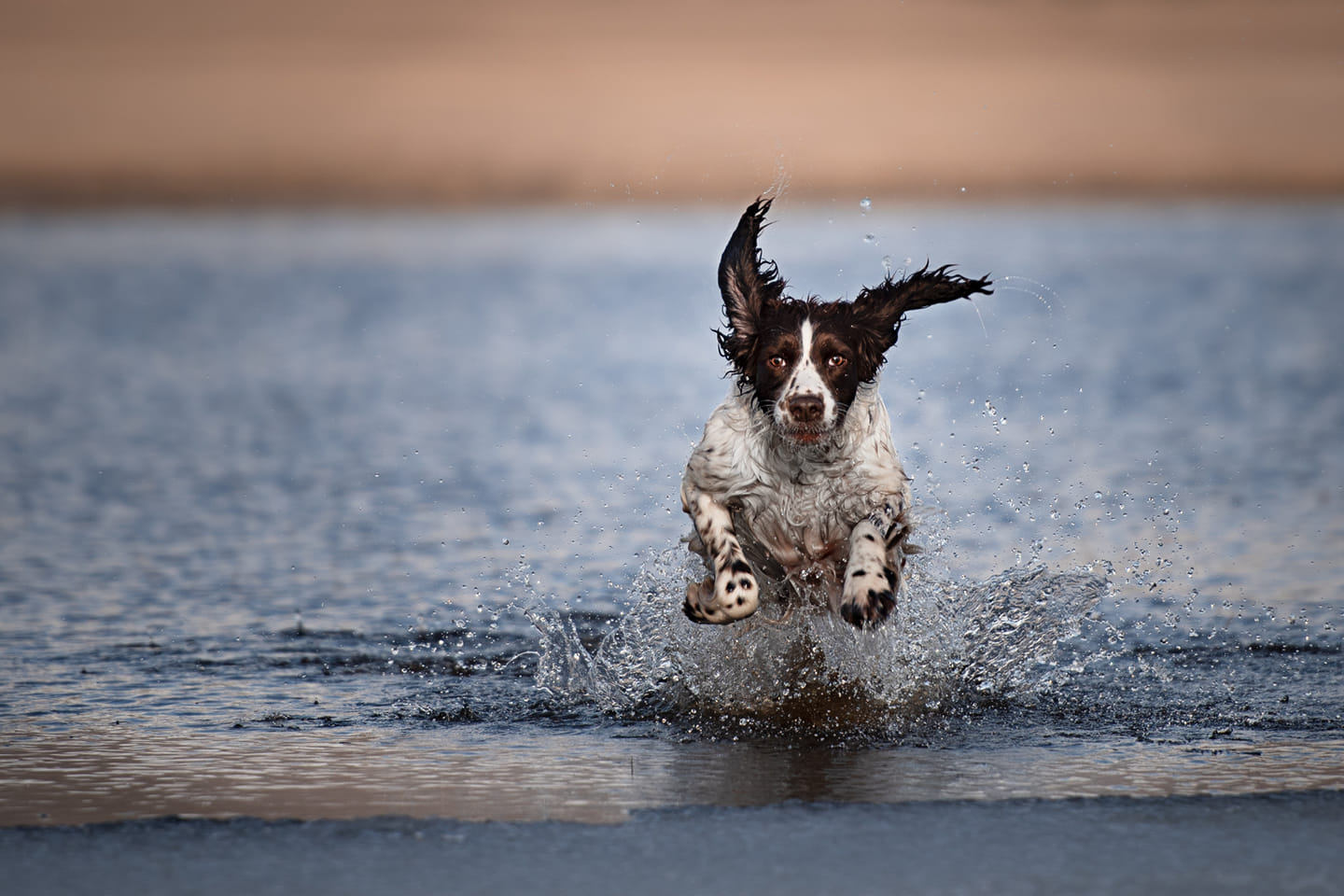 Il ghiaccio a castelluccio