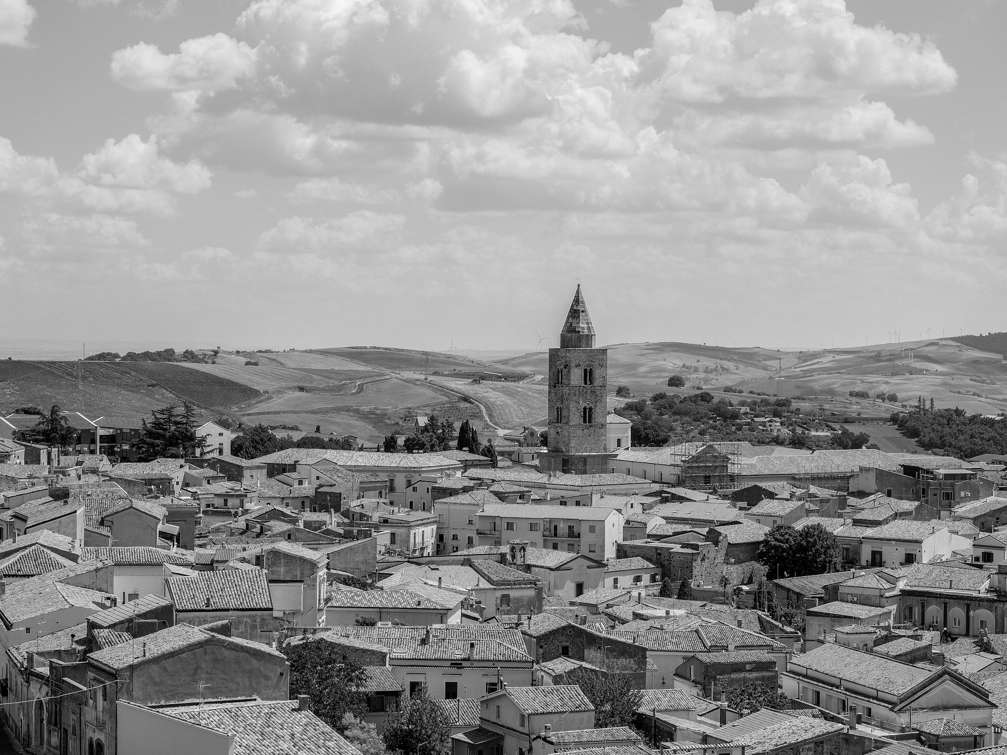 Black and white melfi...