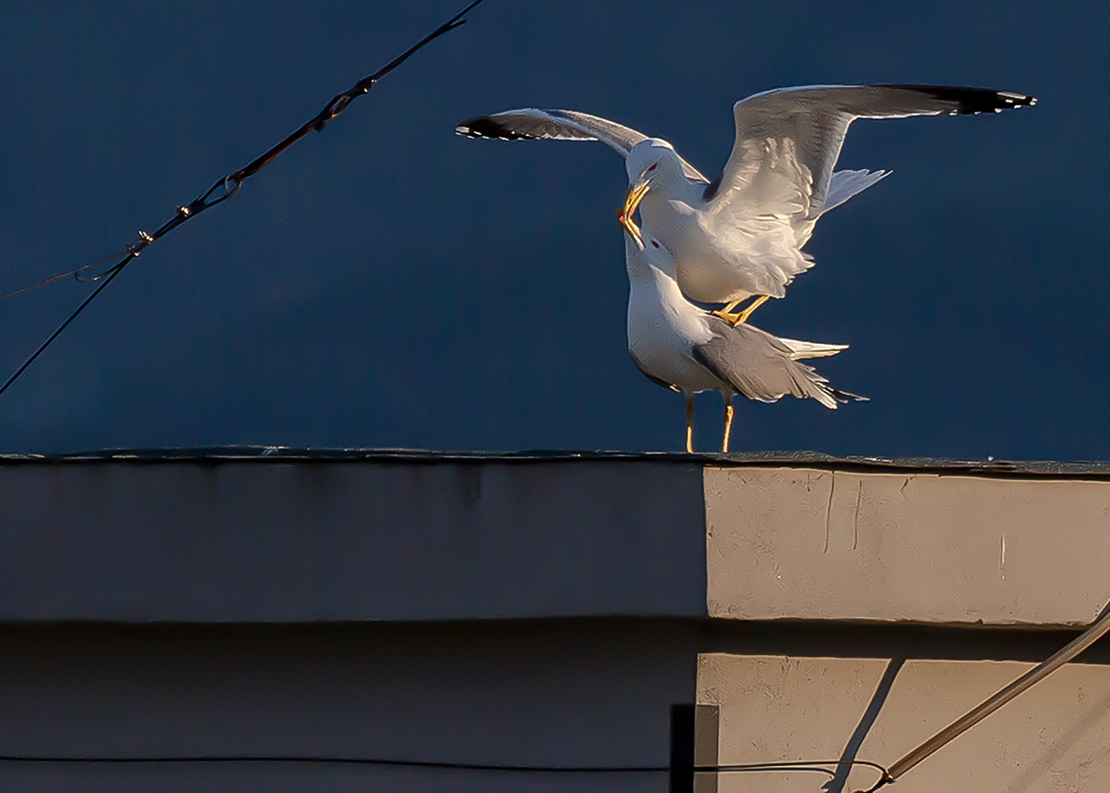Tesoro mio...quanto ti amo