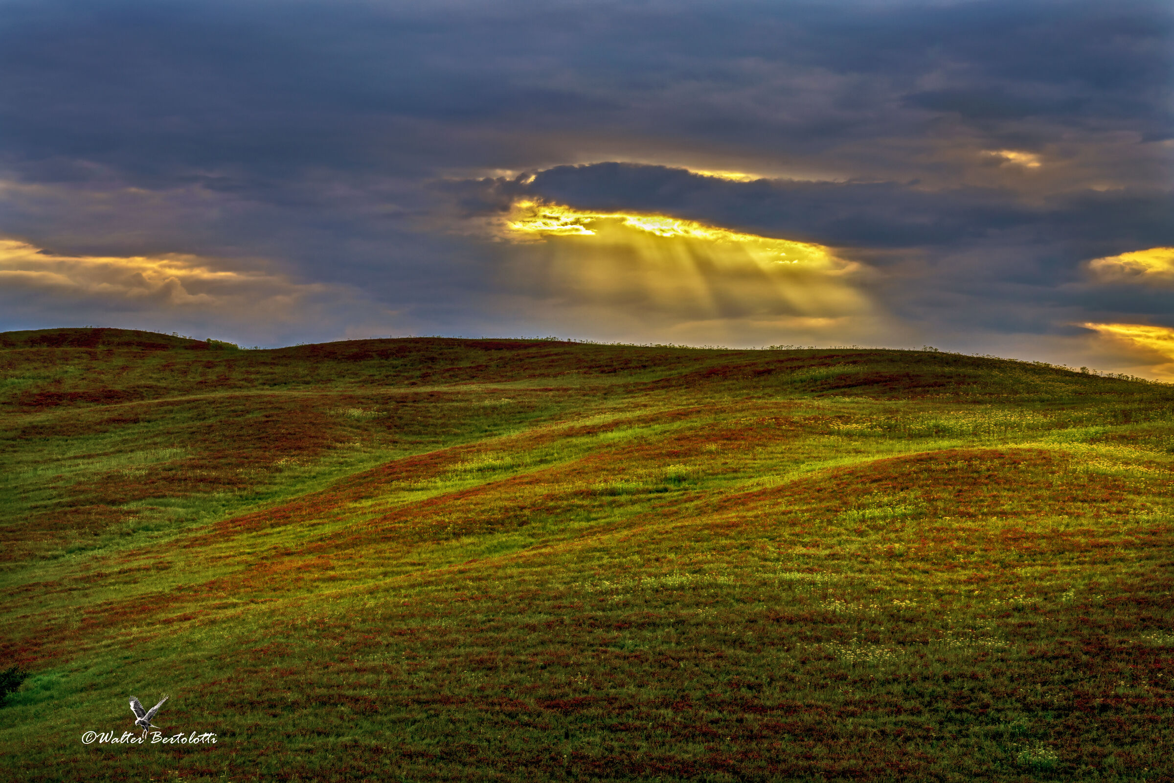 uno squarcio nel cielo dell'alba