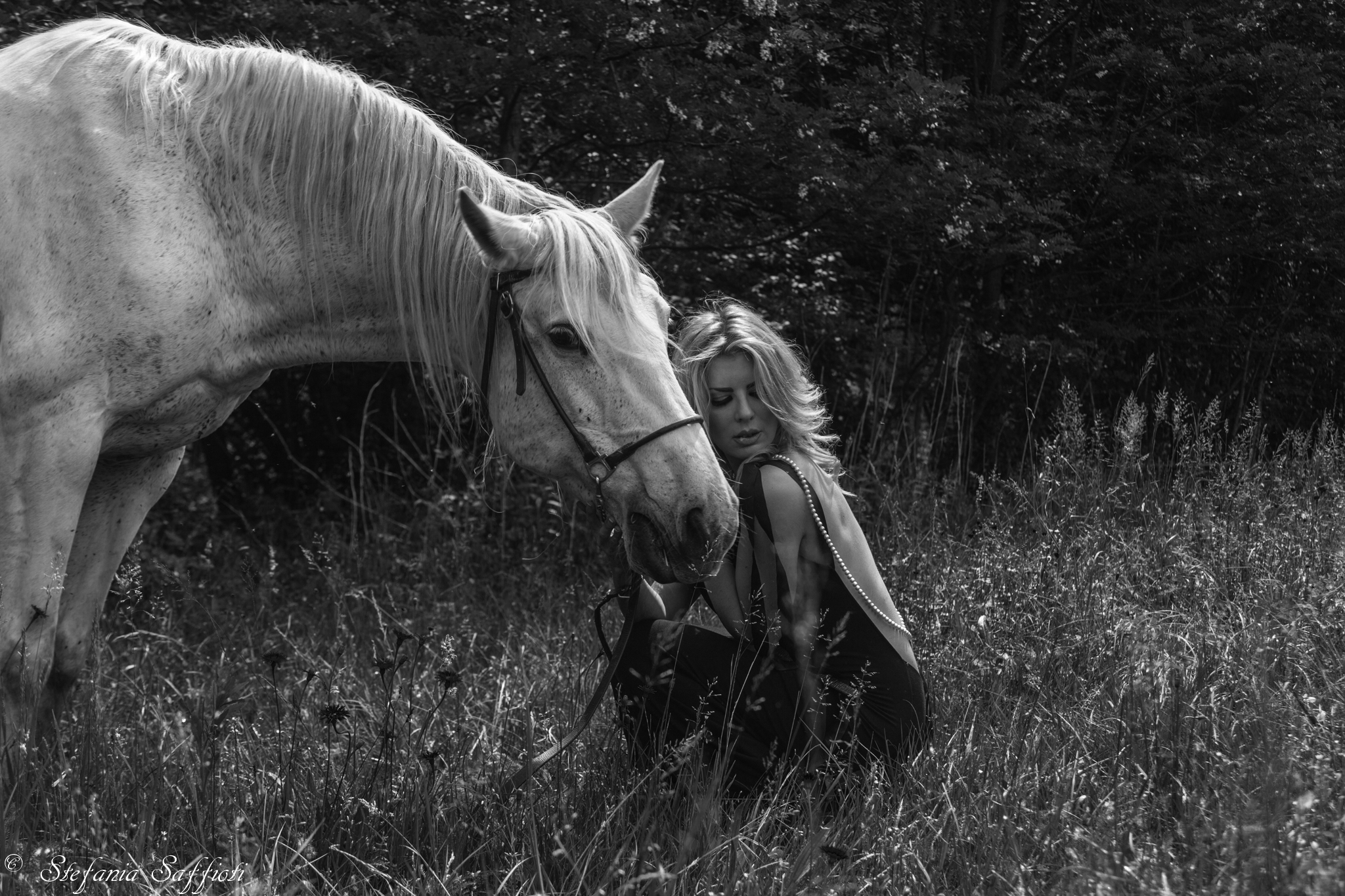 Untitled Photo