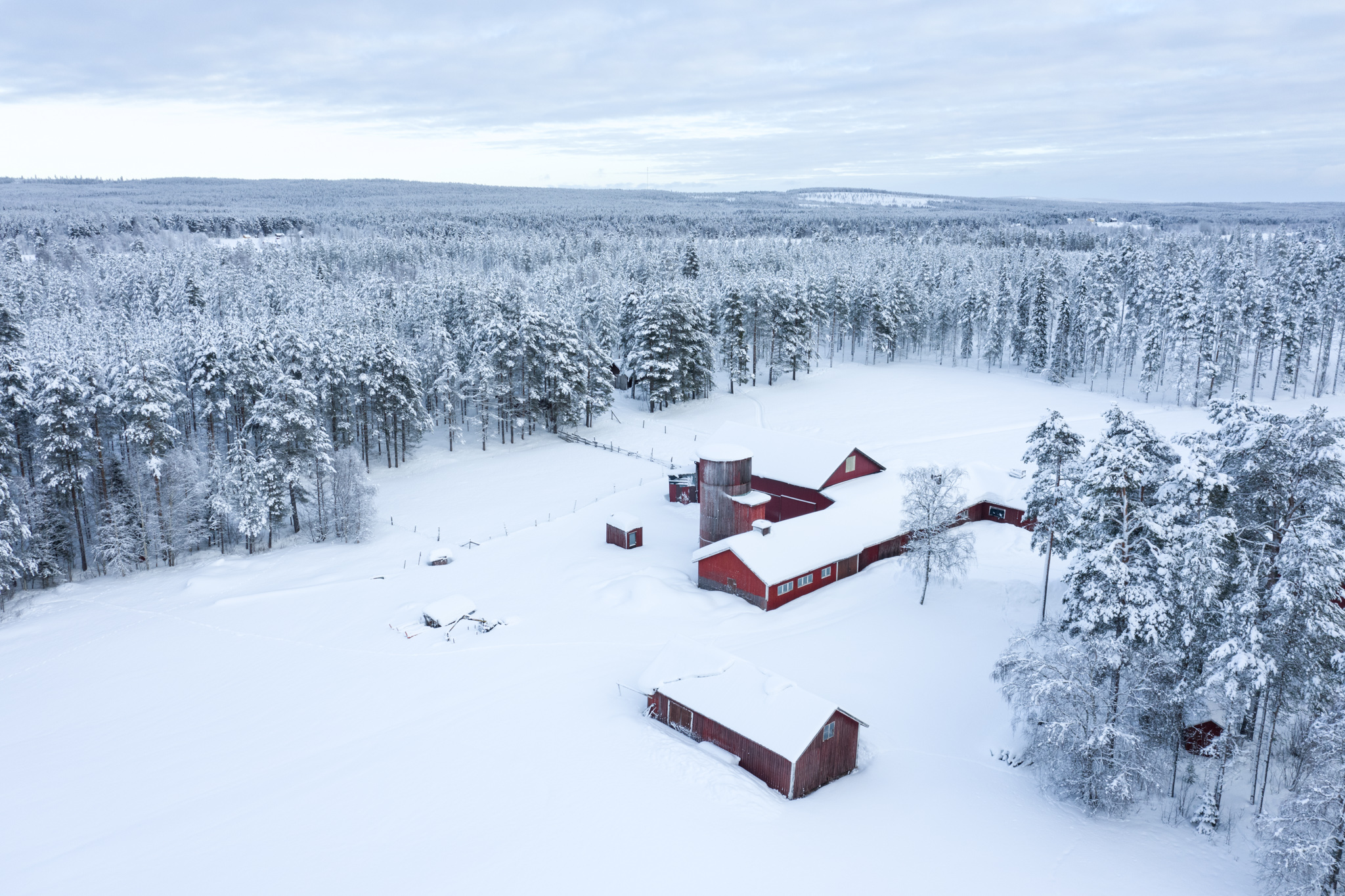 2020 Febbraio, Attraversando il Norrbotten