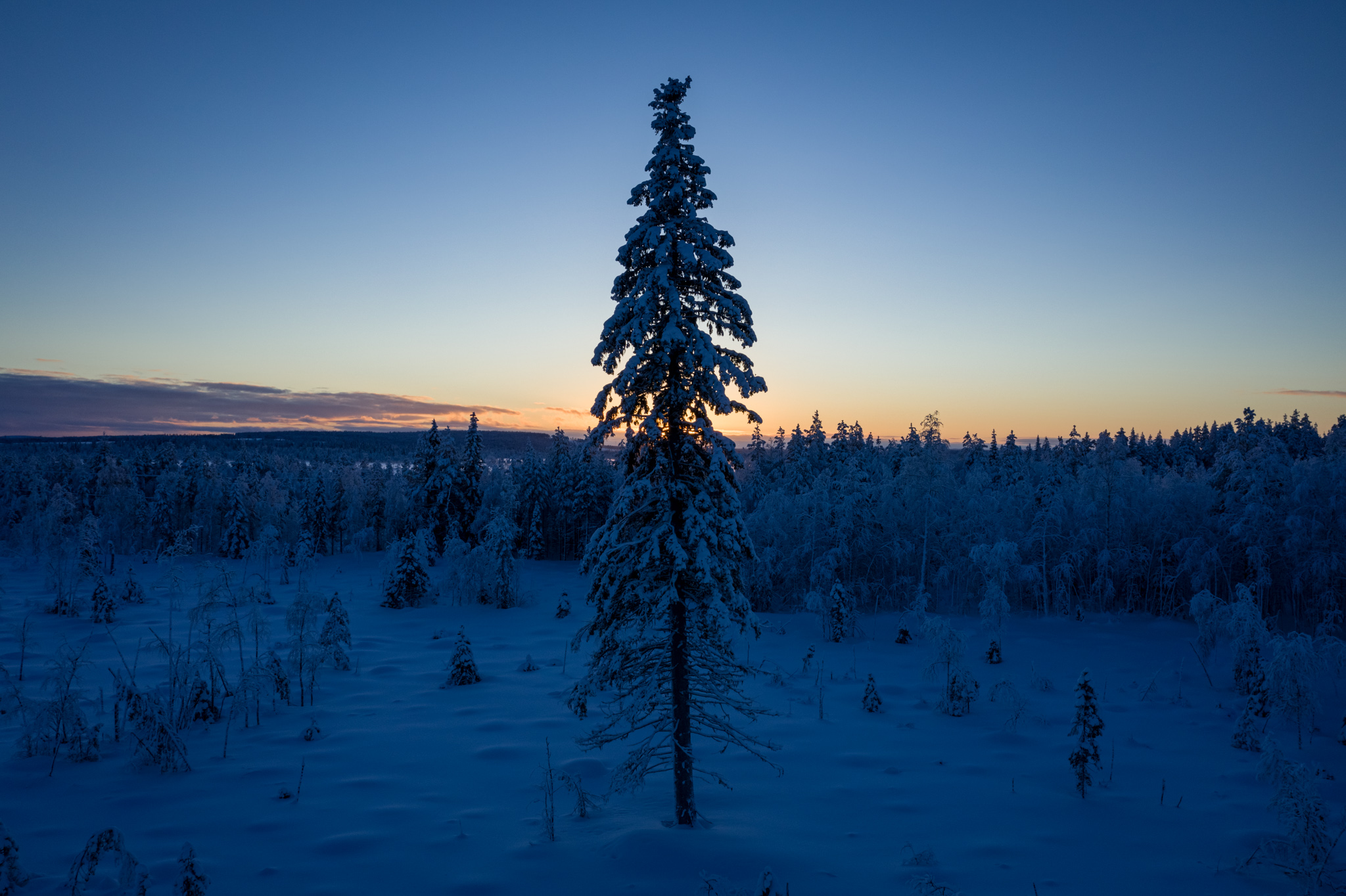 2020 Febbraio, Attraversando il Norrbotten