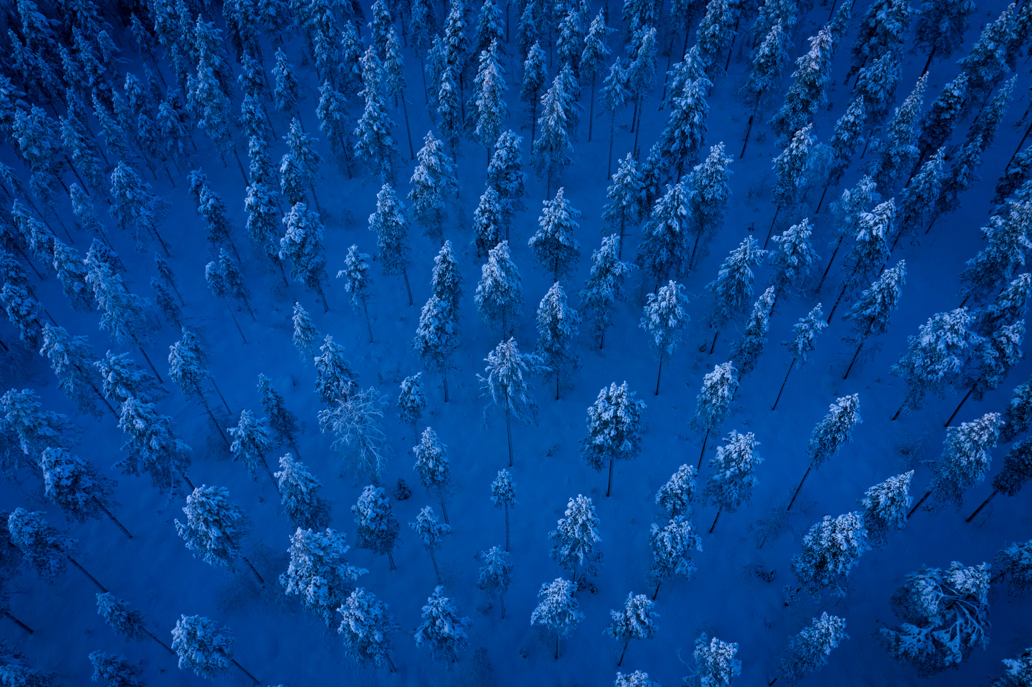 2020 February, Crossing the Norrbotten