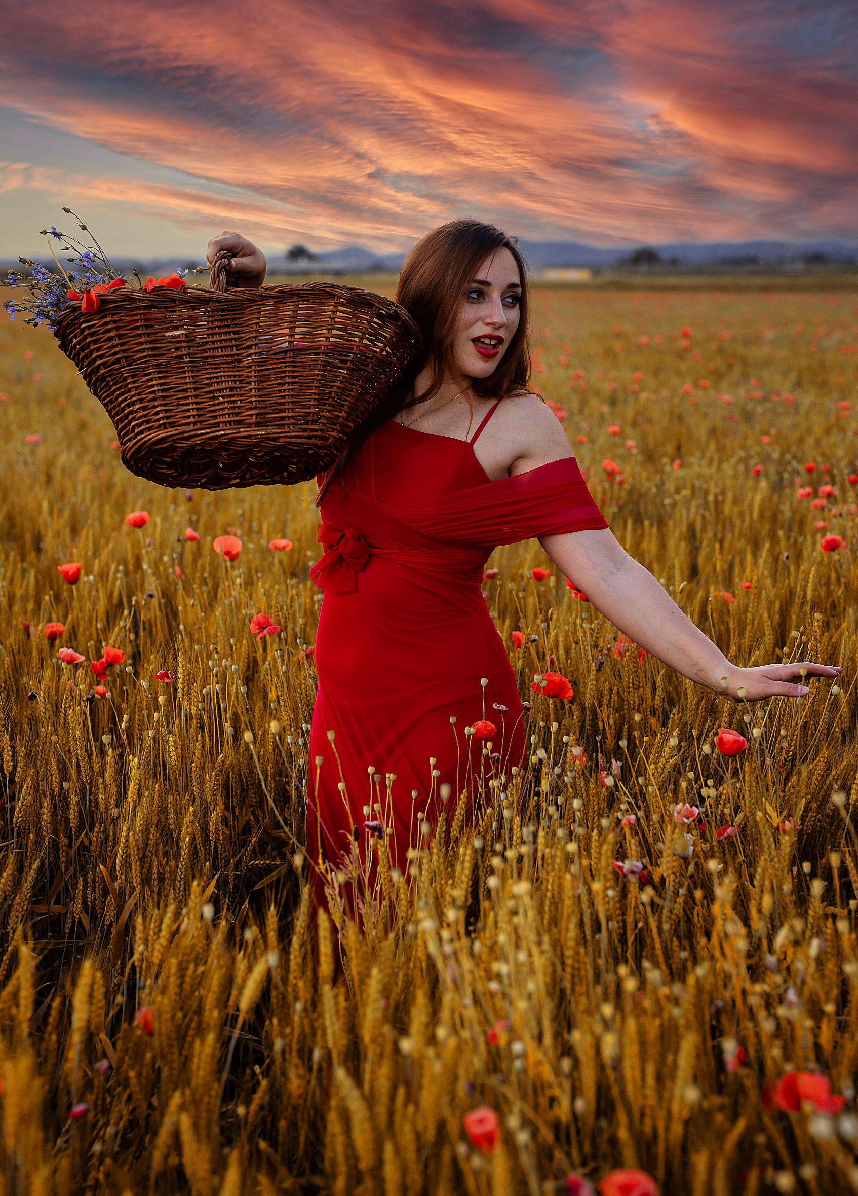 Andiamo a mietere il grano