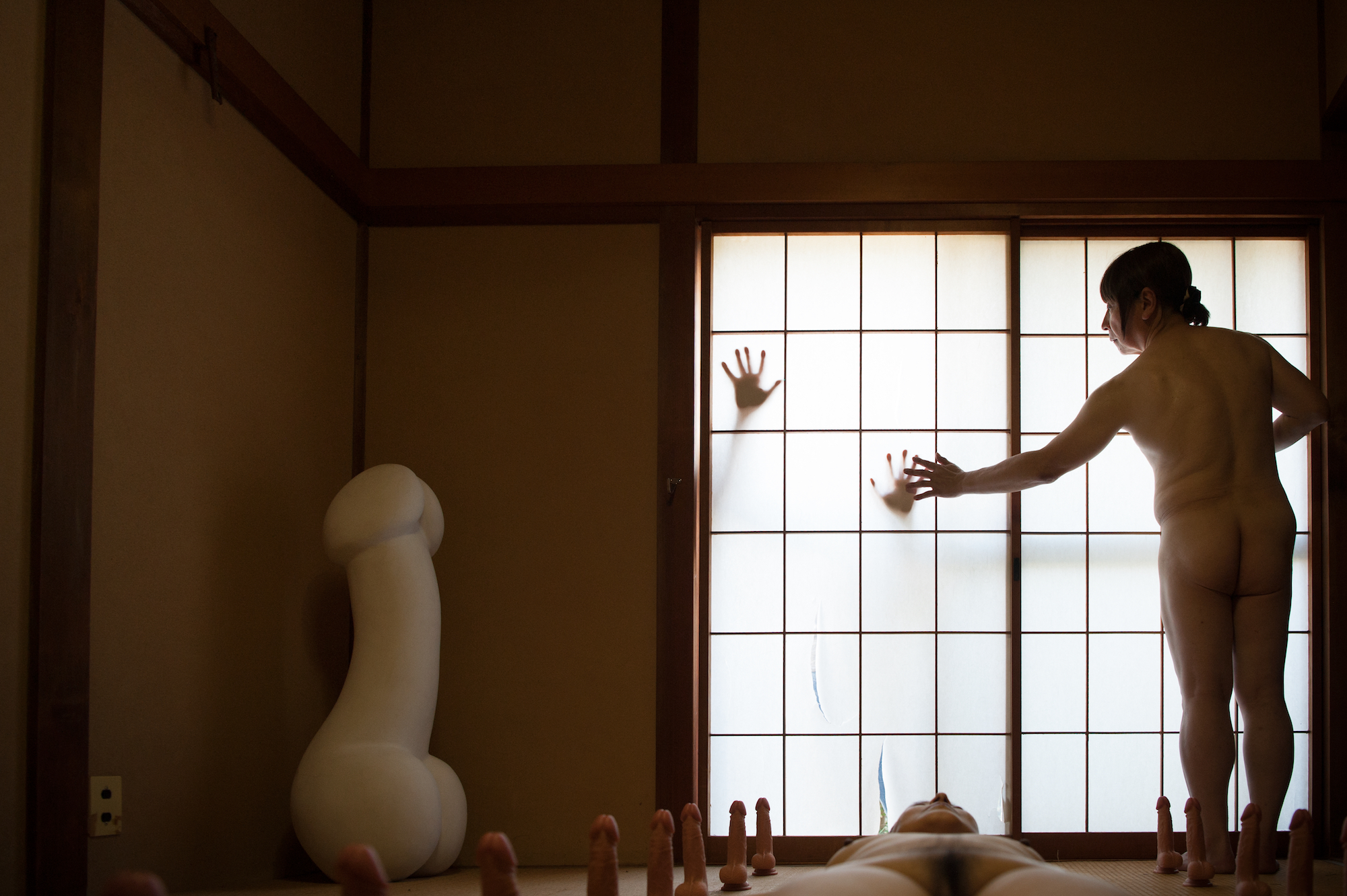 Maze of Metamorphosis project