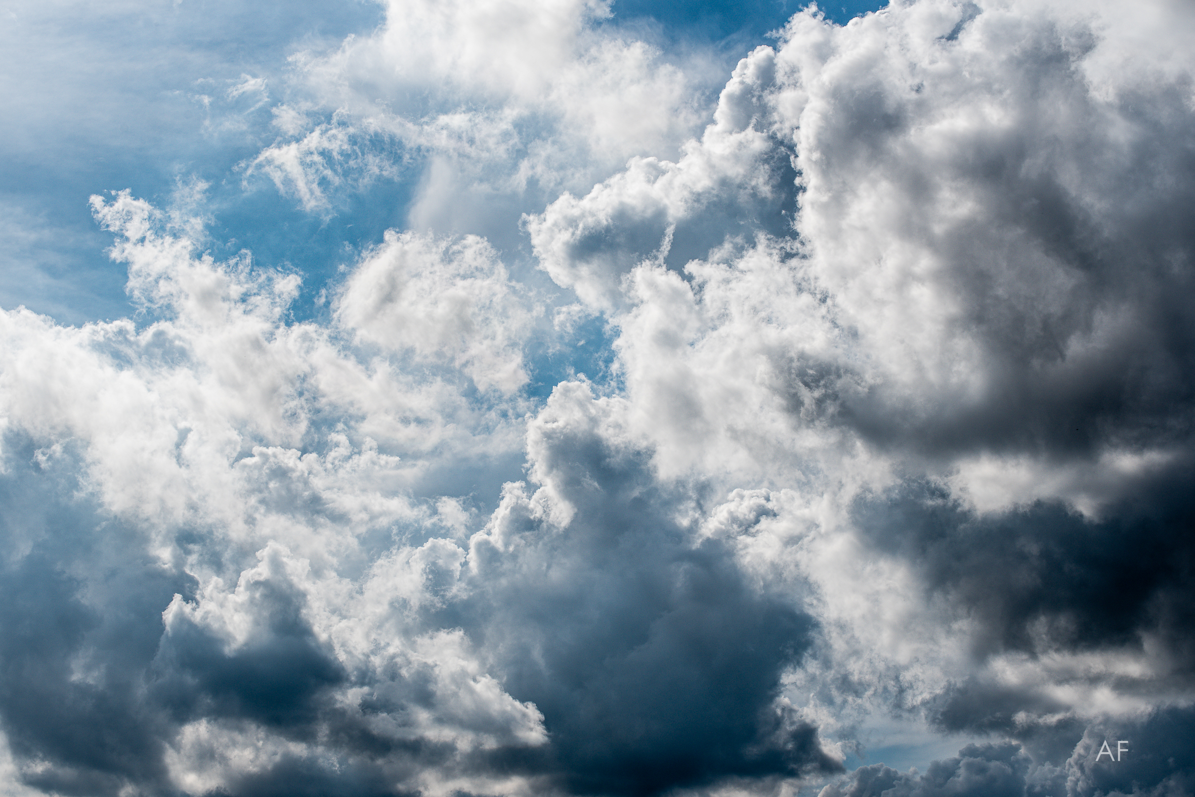 La meraviglia è ovunque