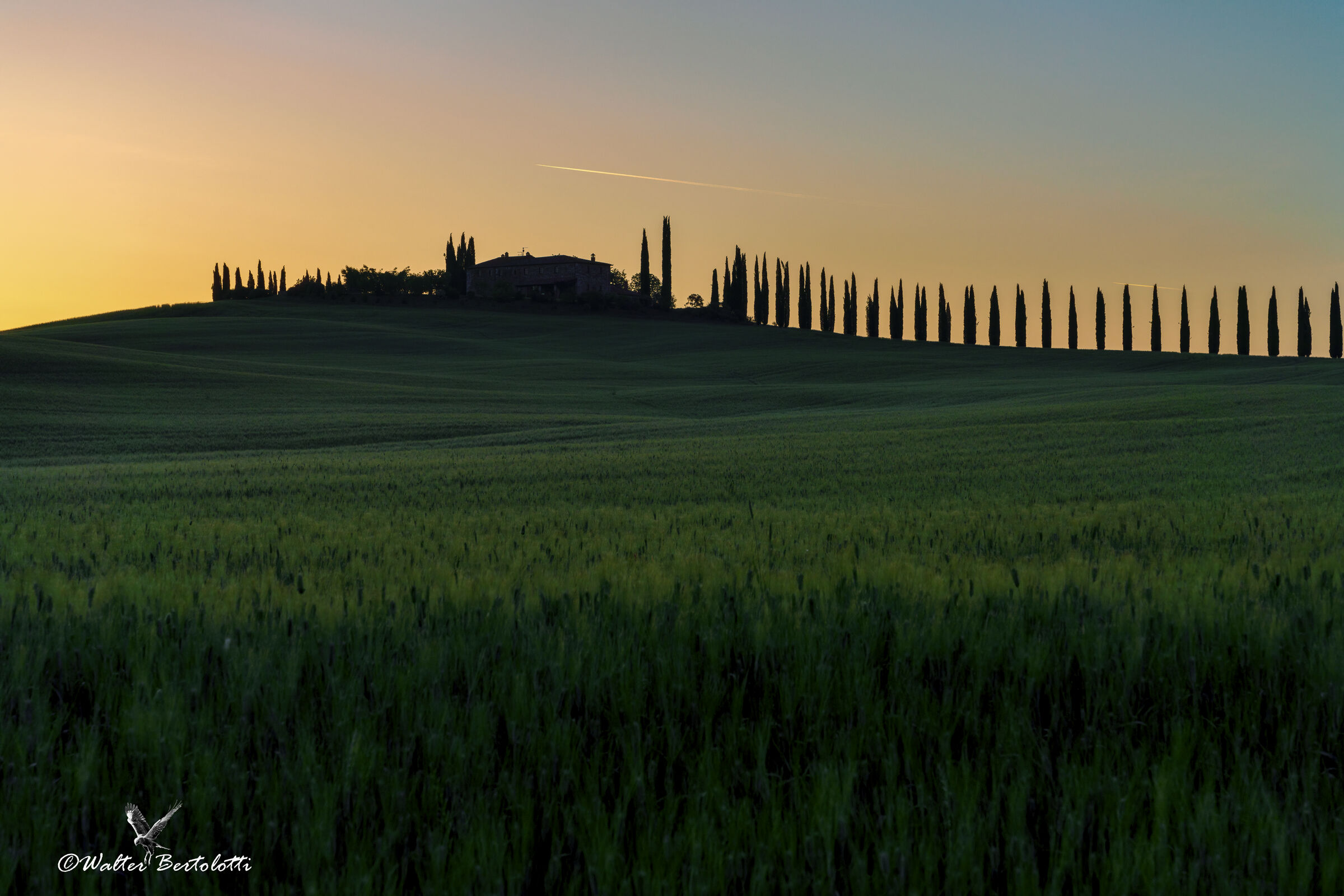 l'alba a Poggio Covili