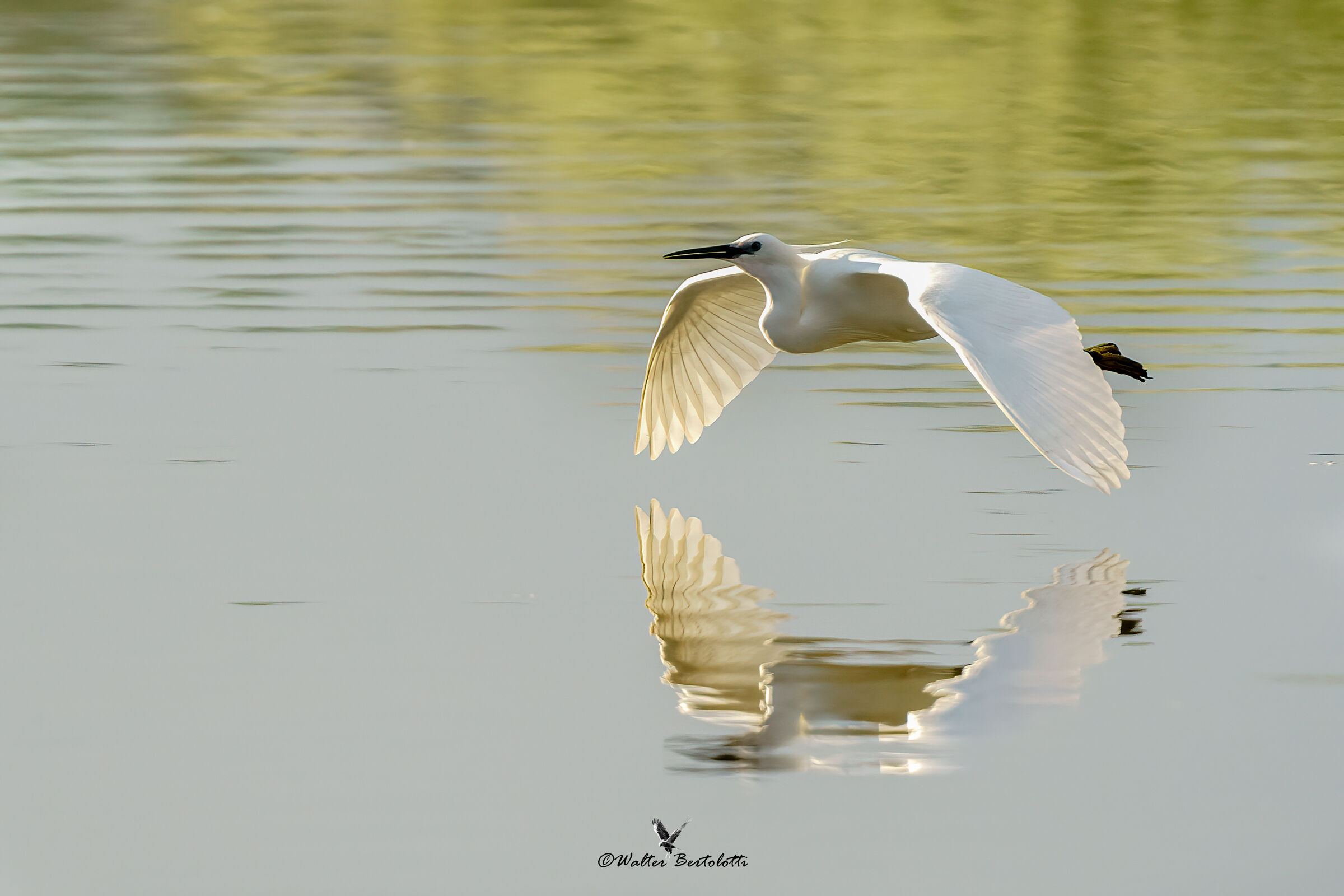 volo all'alba in piena luce
