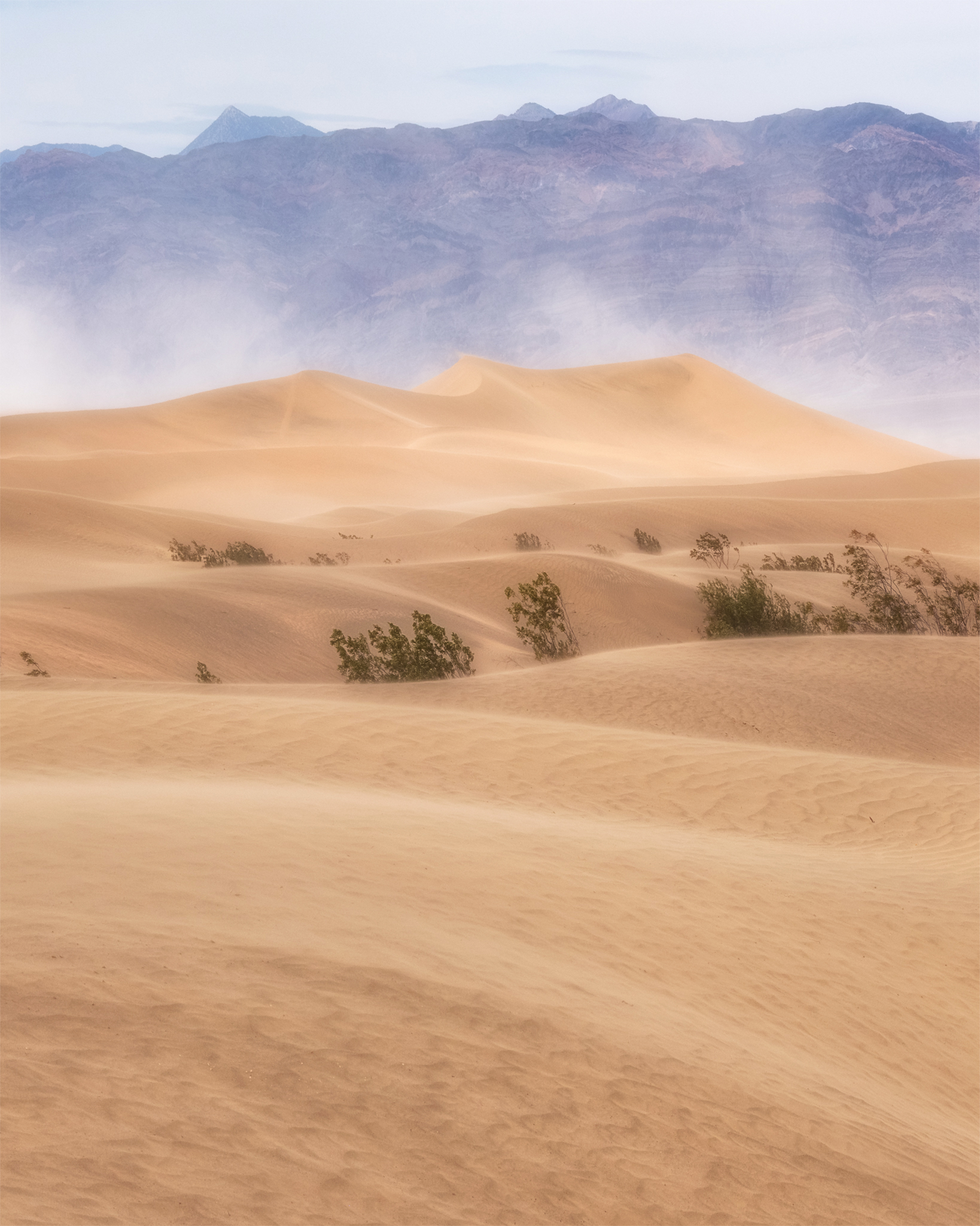 Sandstorm
