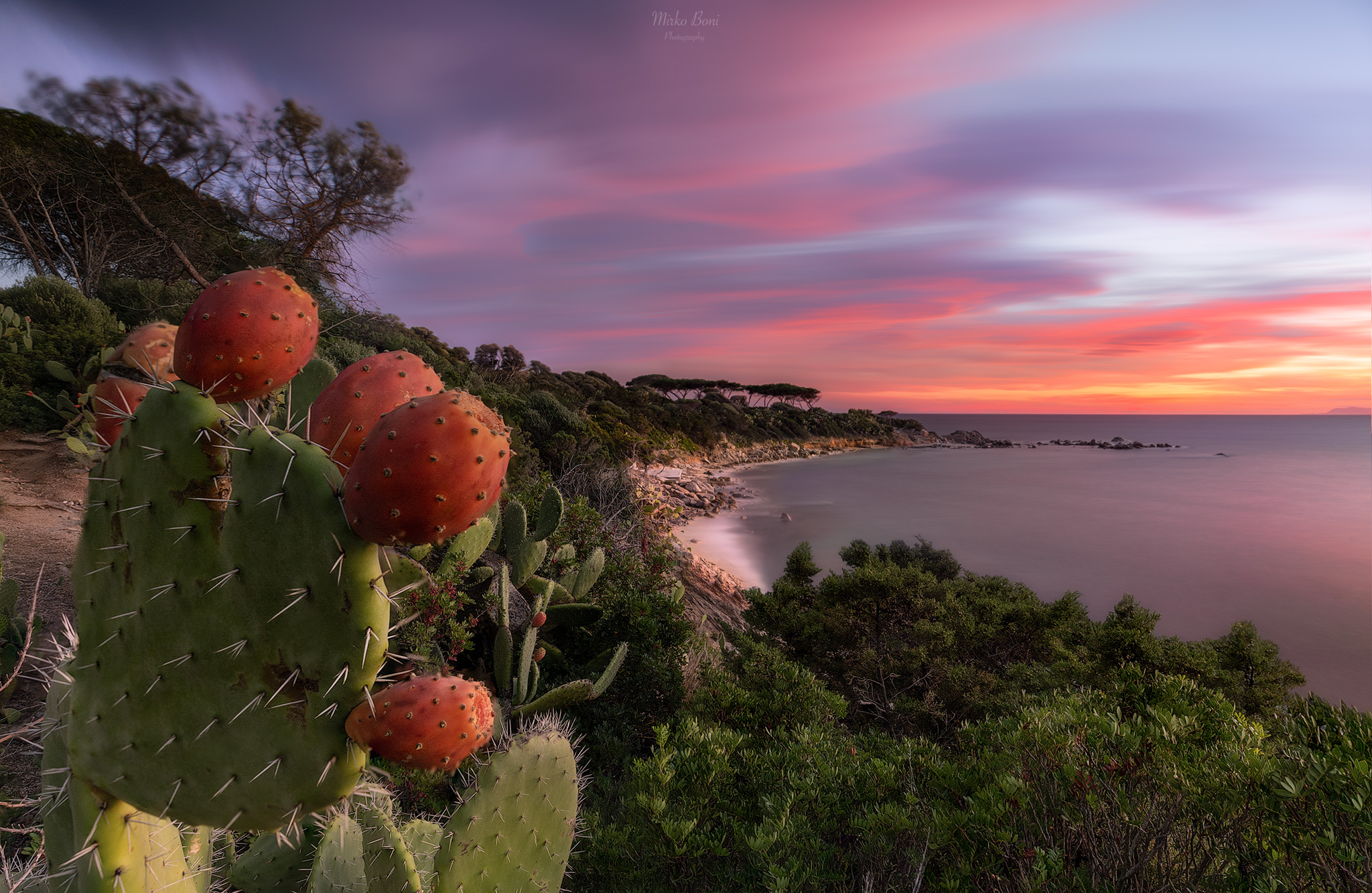 Sunset focus stacking