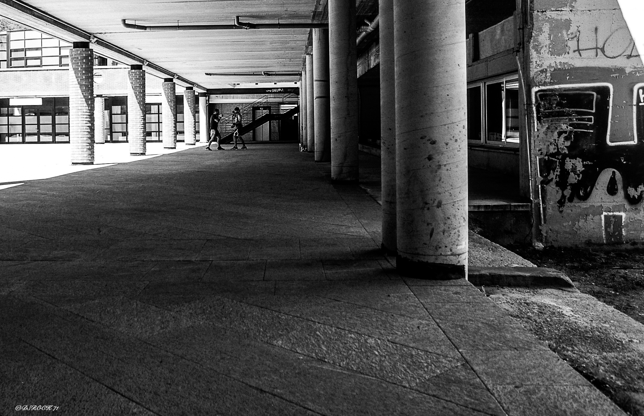 universita' di Como