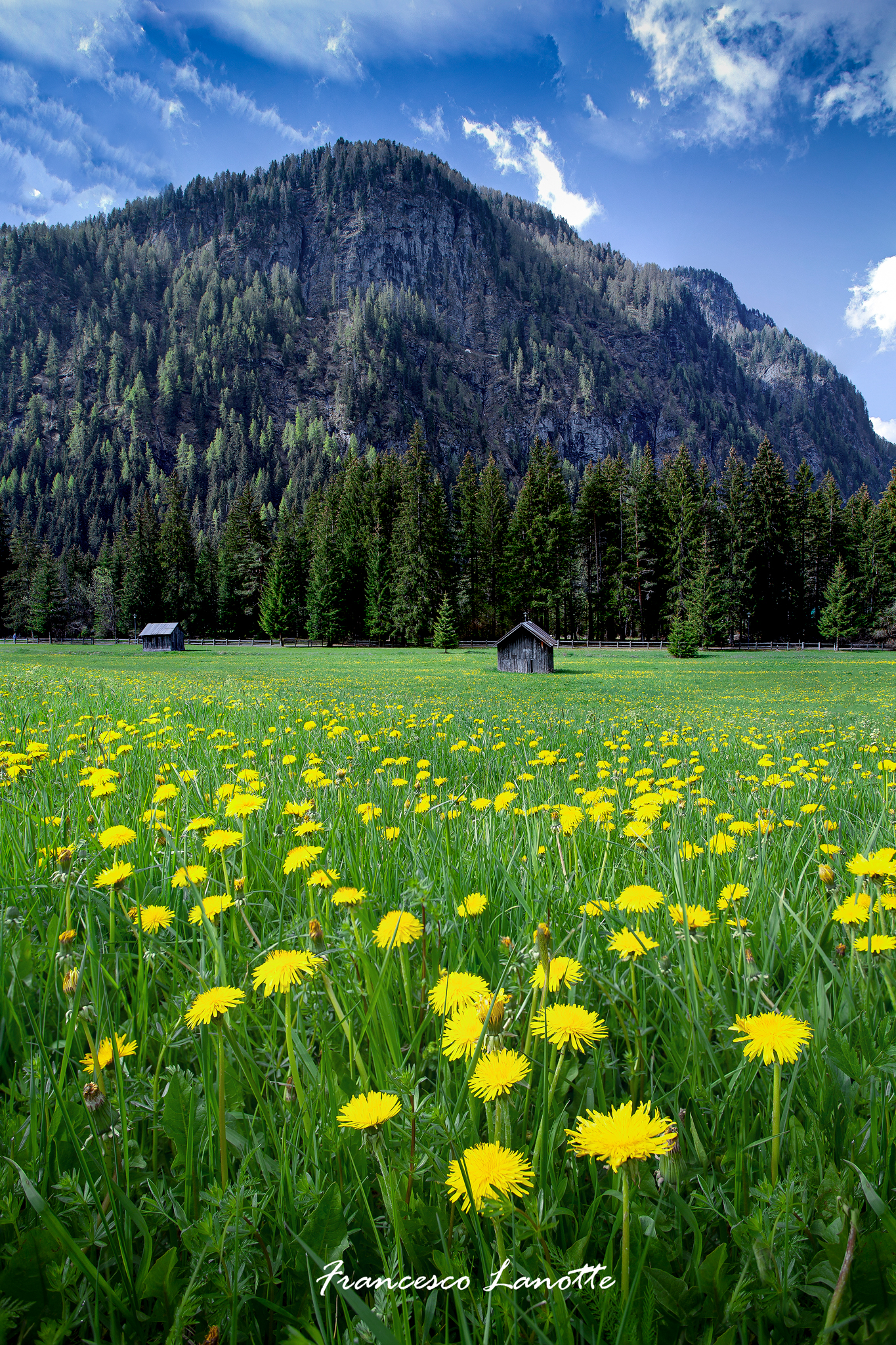 Trotterellando in Trentino