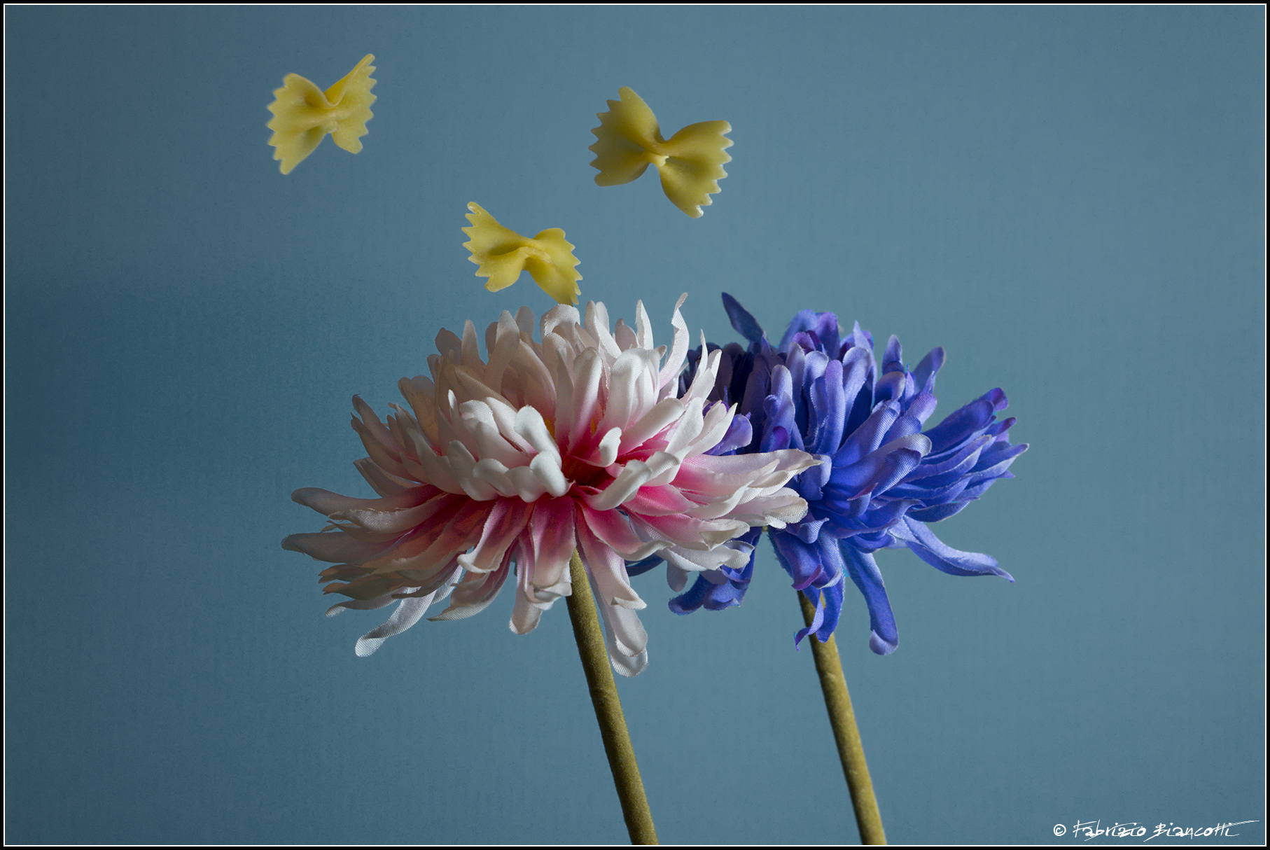 Butterflies and Flowers