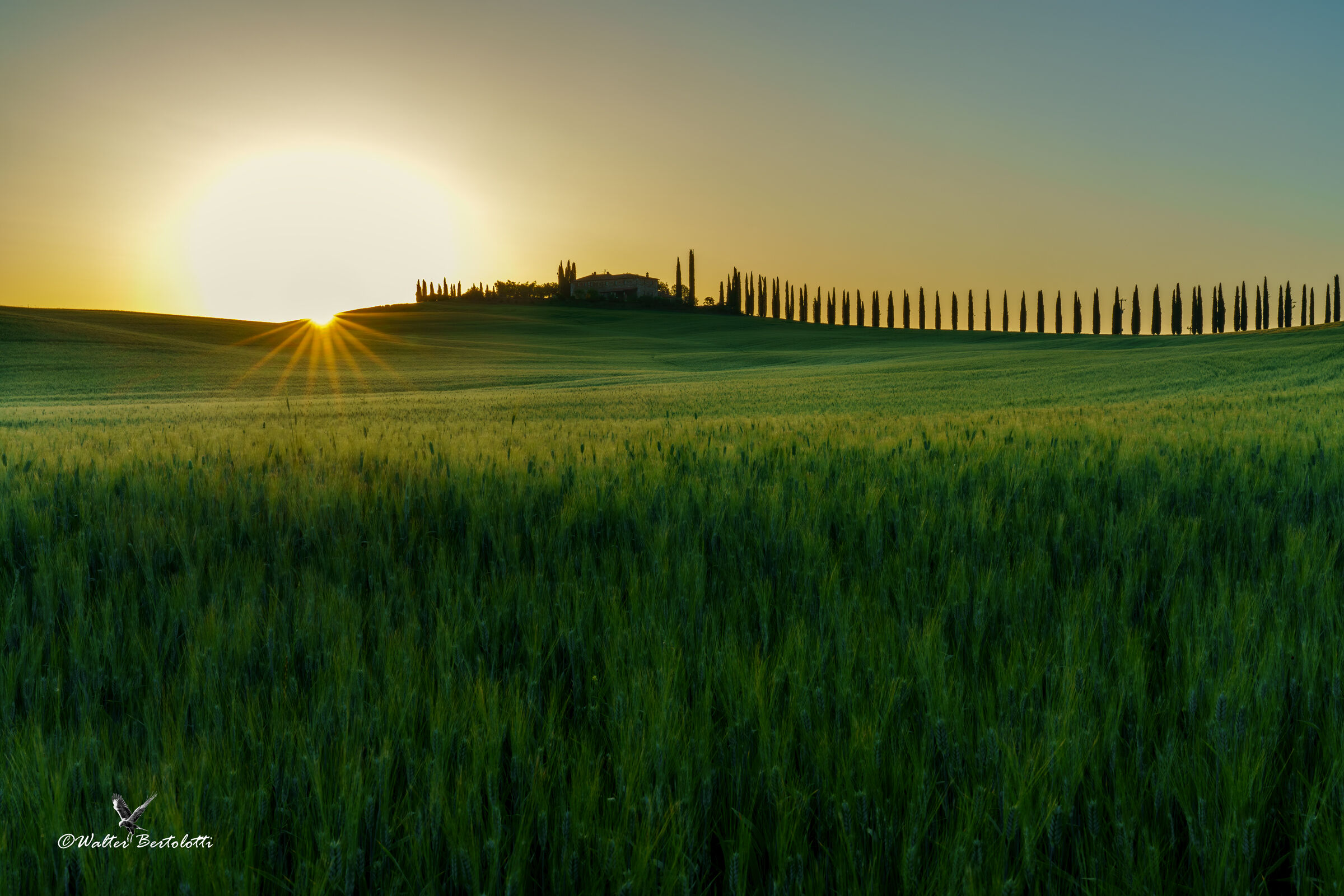 sorge un nuovo giorno