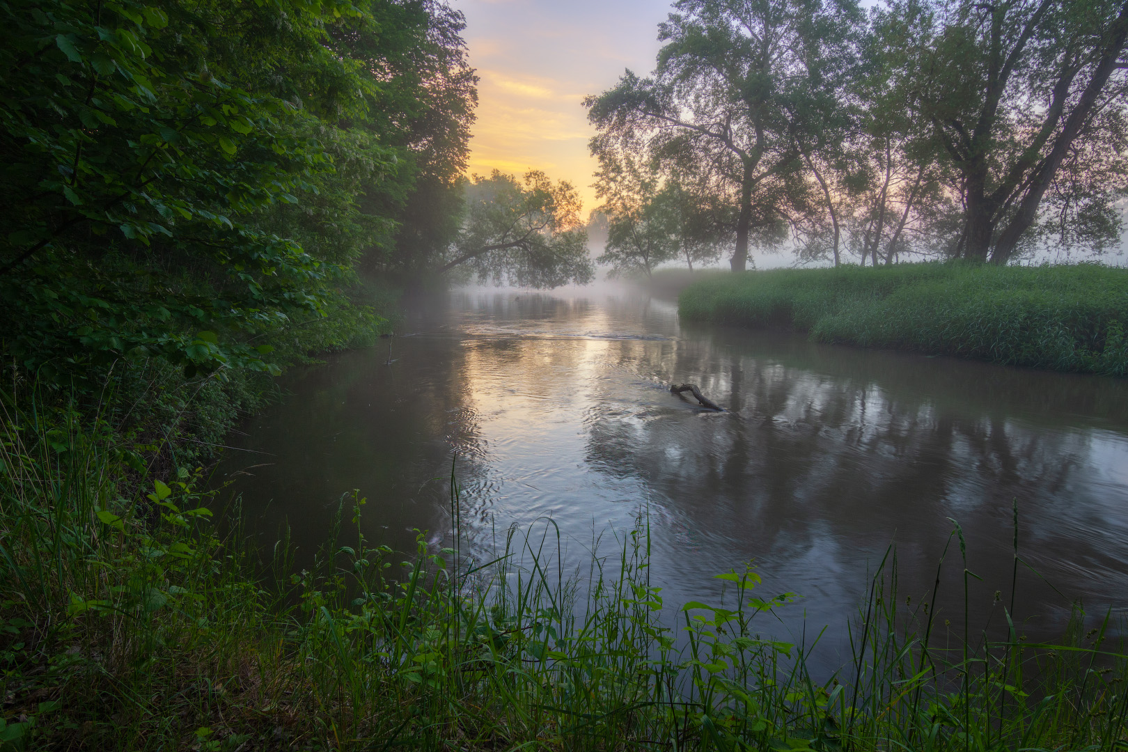 Early morning by the river