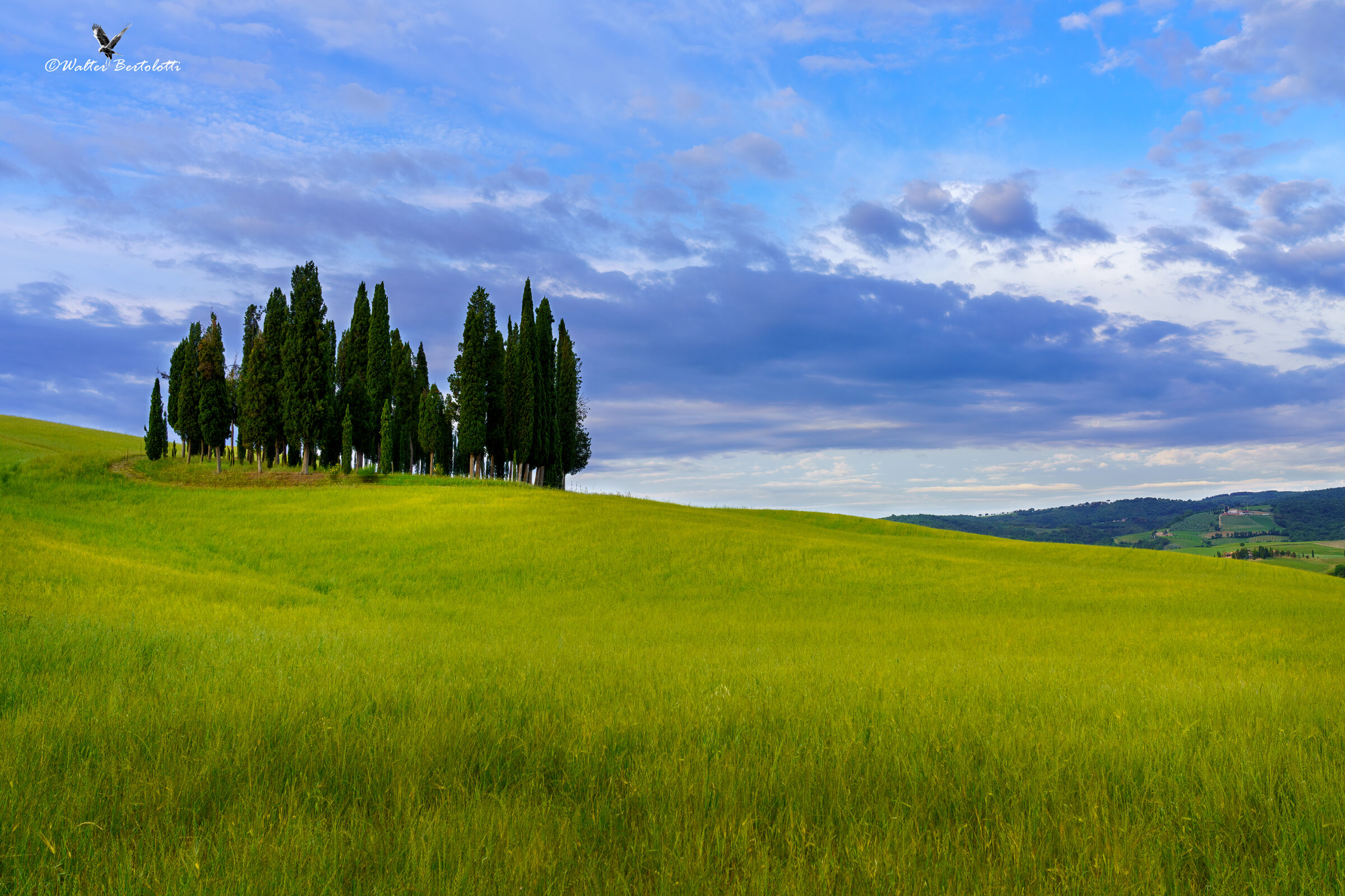 un classico della Val d'Orcia