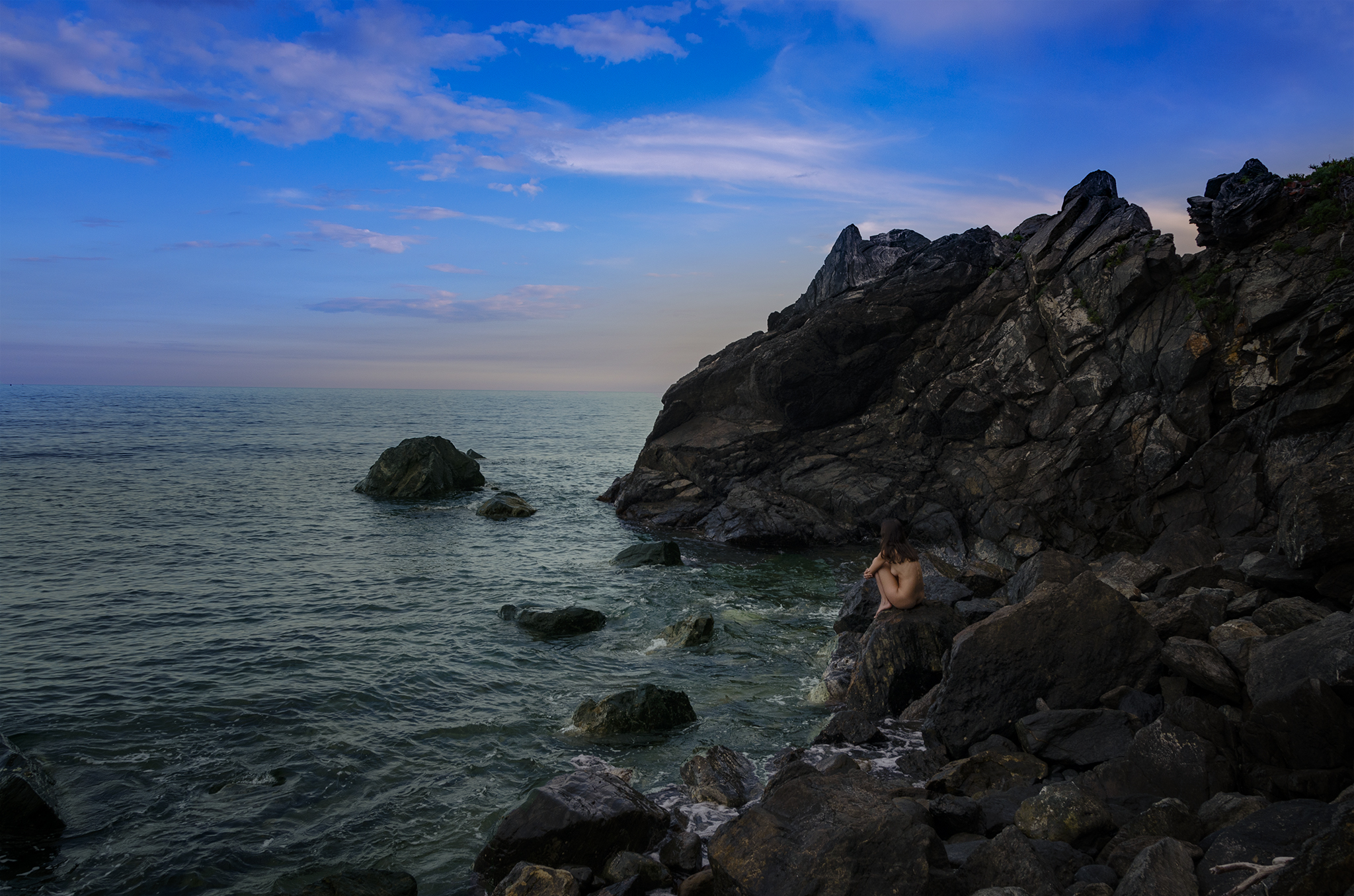 flos in petram (fiore sulla pietra)