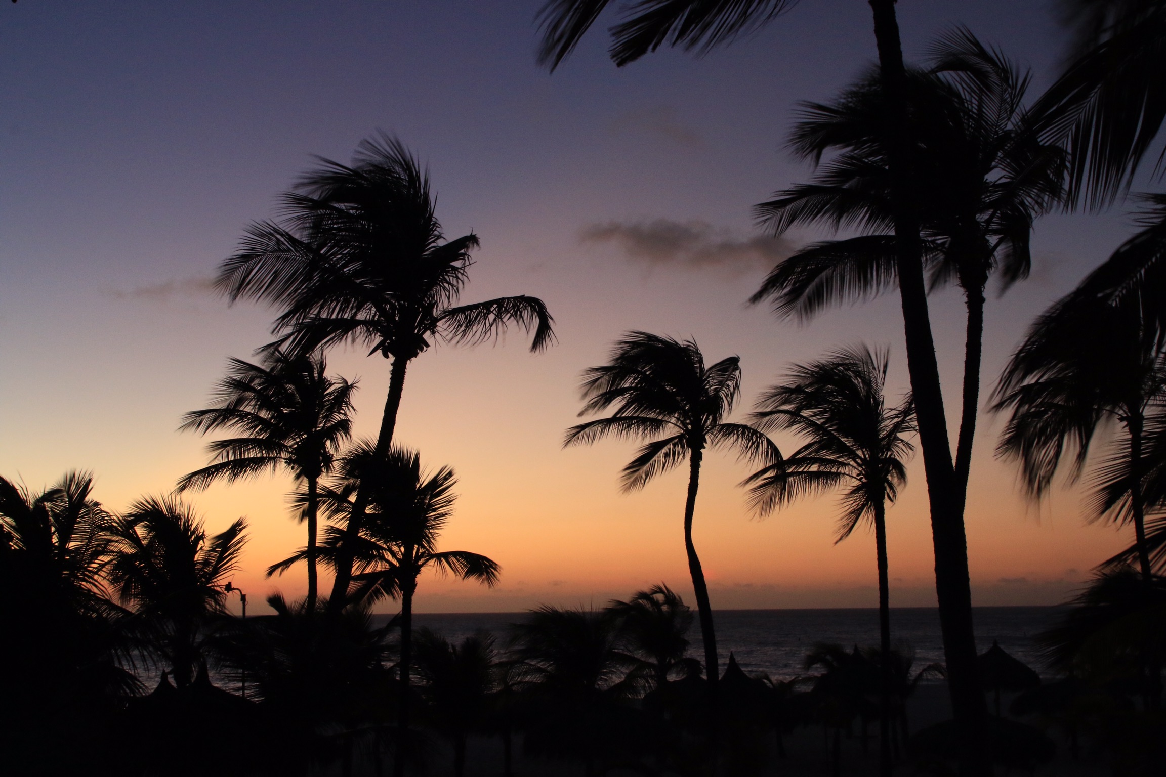 Tramonto viola