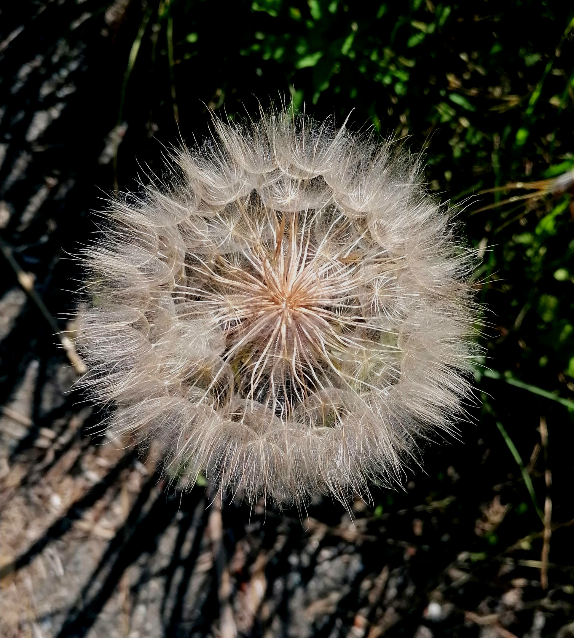 All it takes is a breath...