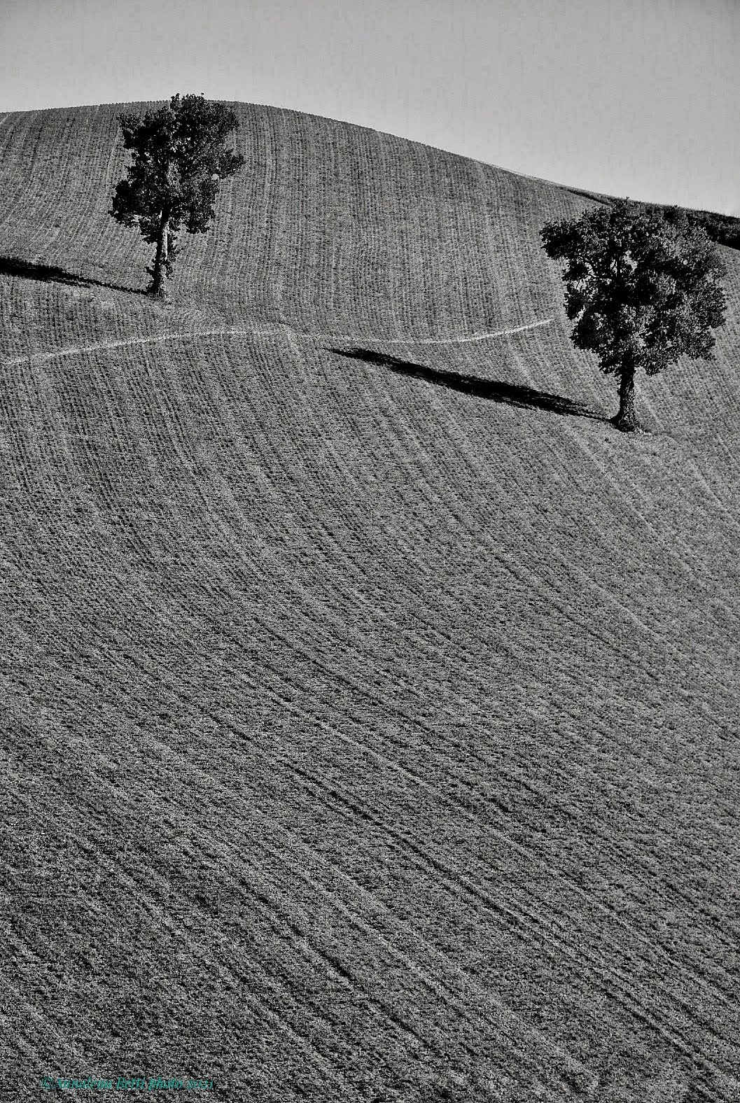 Campaign in Montefeltro