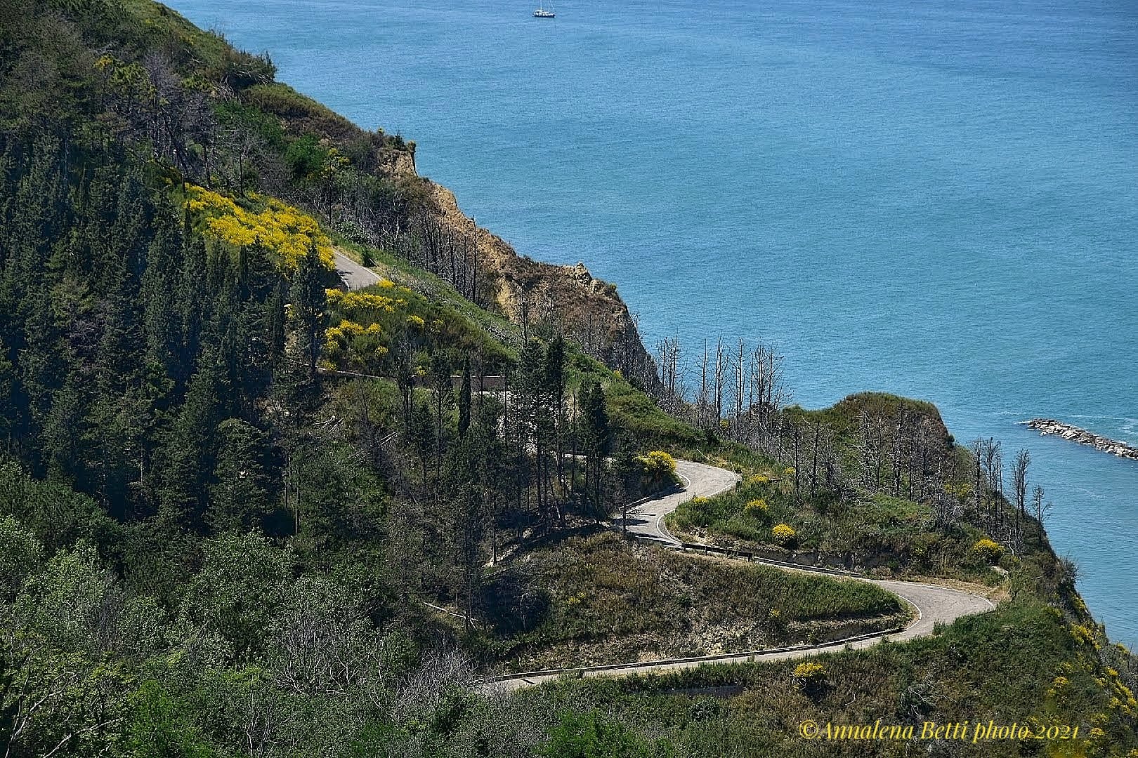 Monte San Bartolo Natural Park