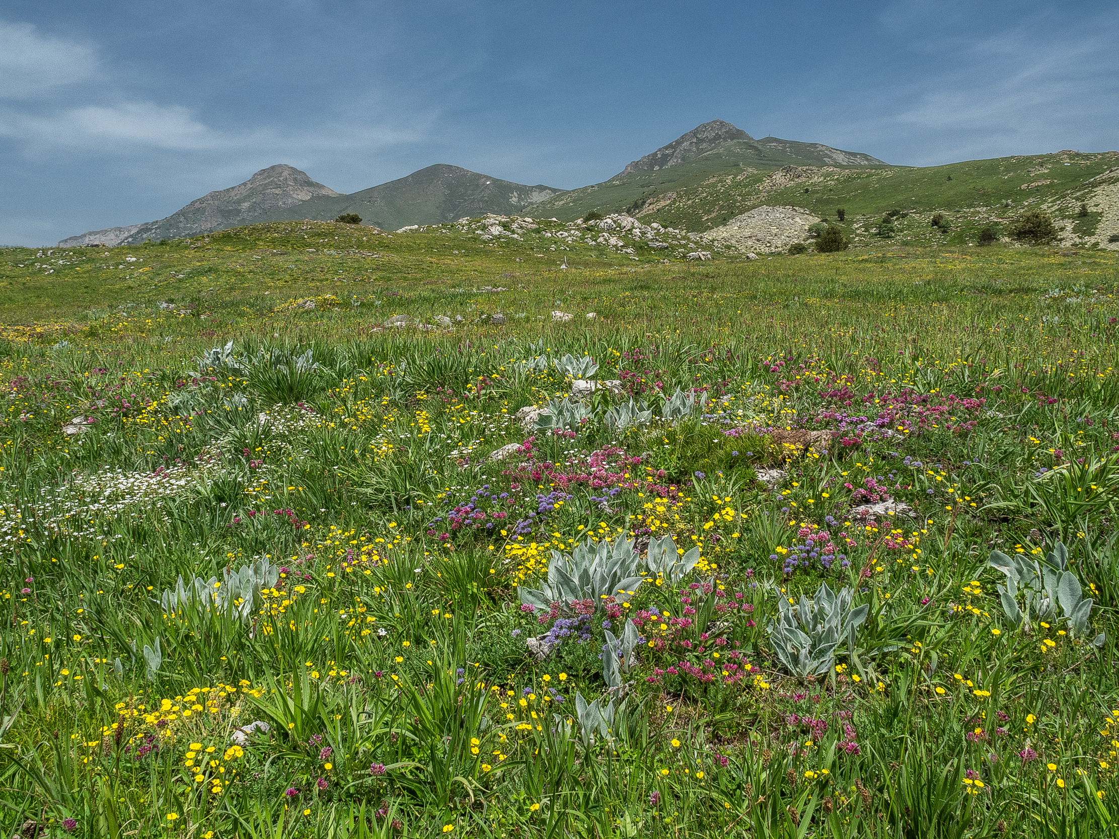 ...ai piedi del Mongioie