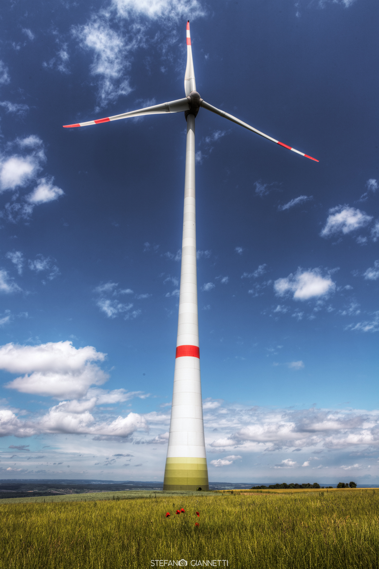 Eolica e papaveri