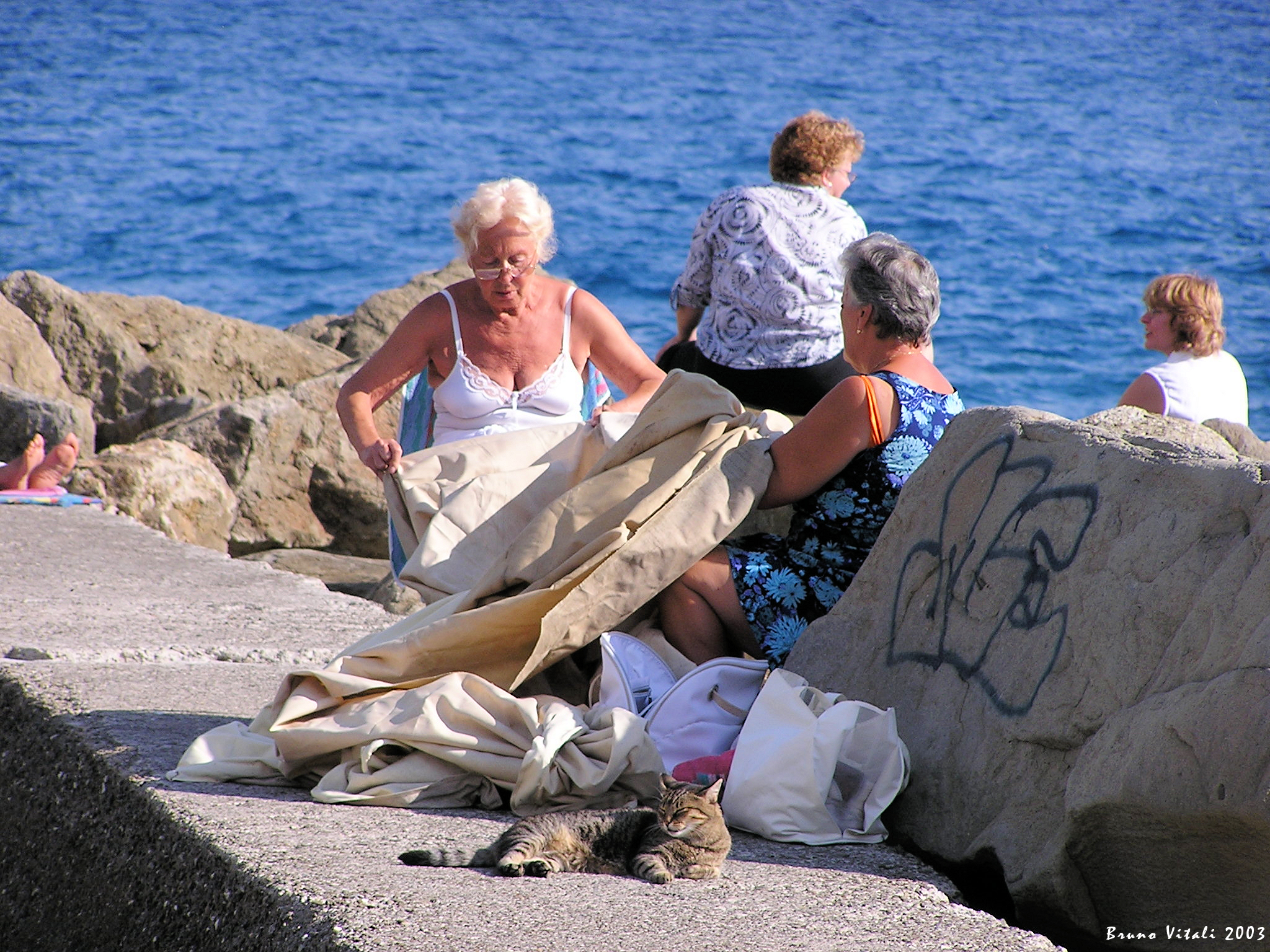 Le Signore ed il Gatto a Monterosso