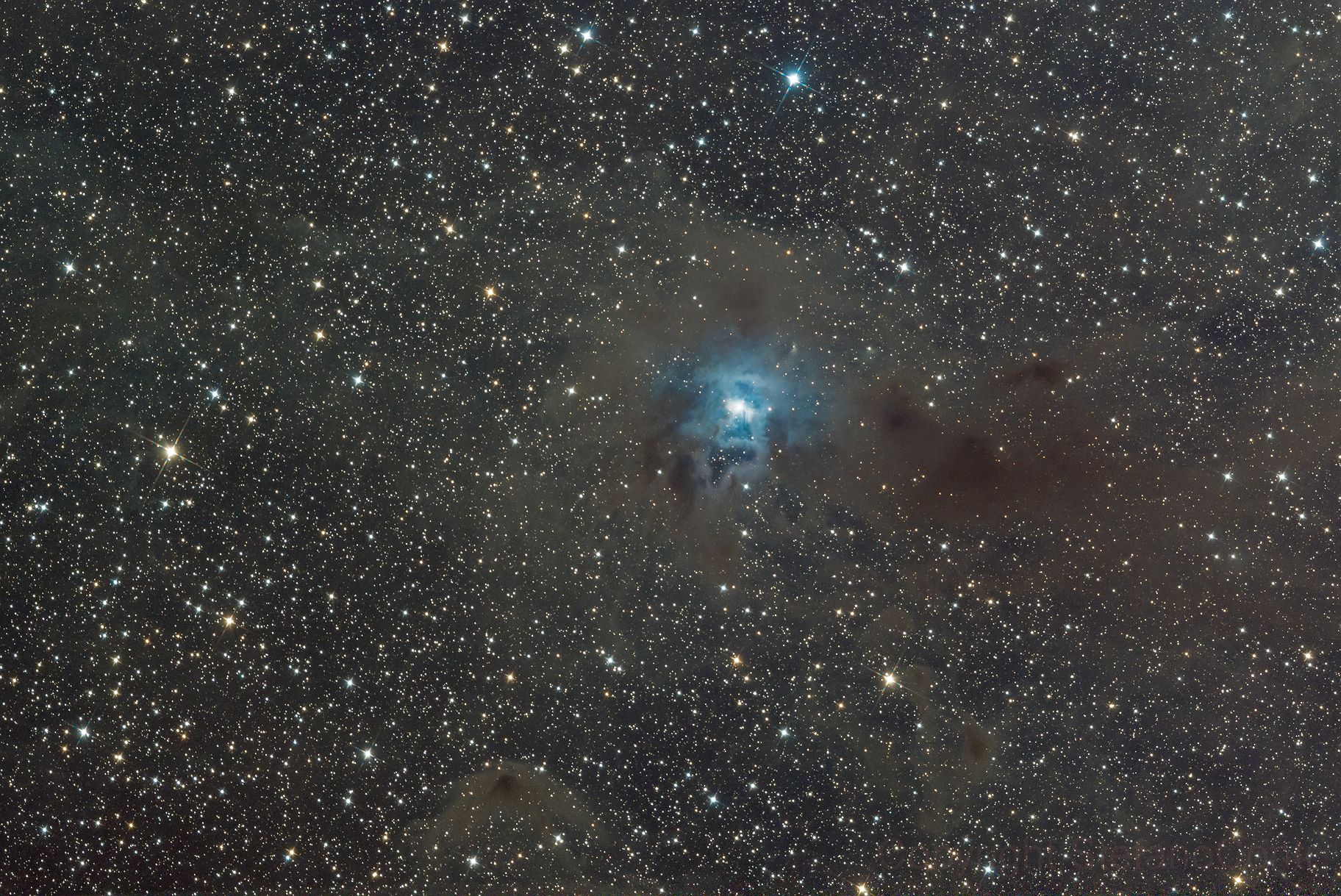ngc7023 Iris Nebula