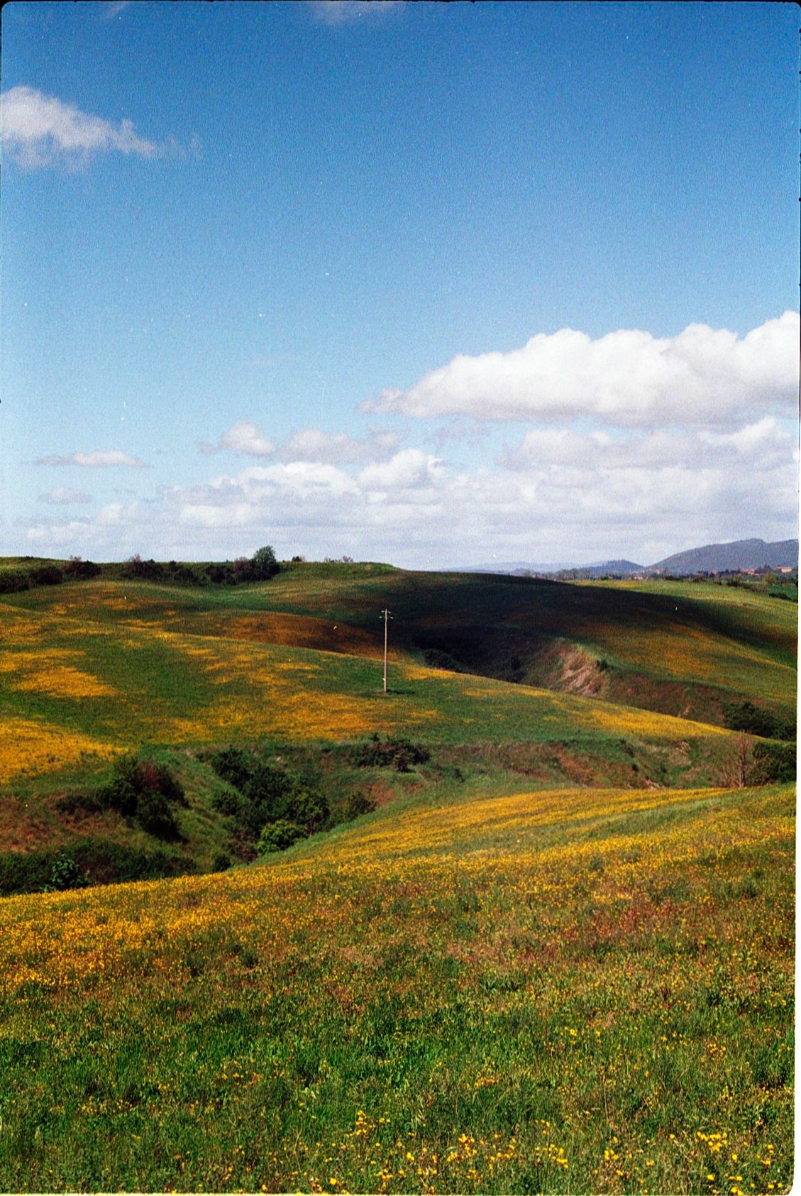 Primavera di Torre a Castello
