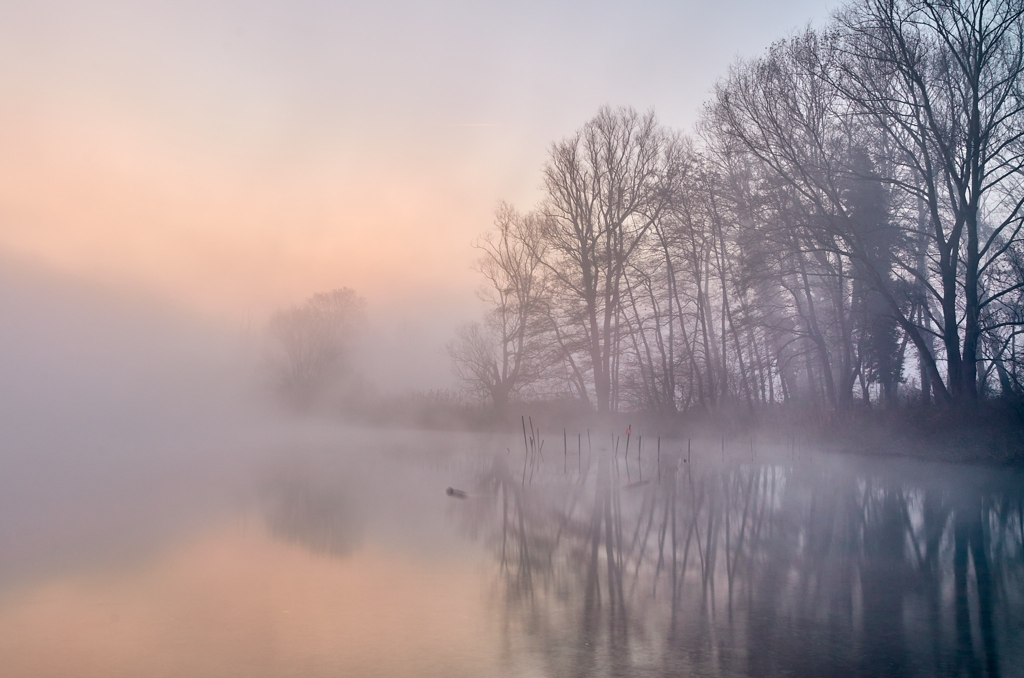 Una mattina d'inverno