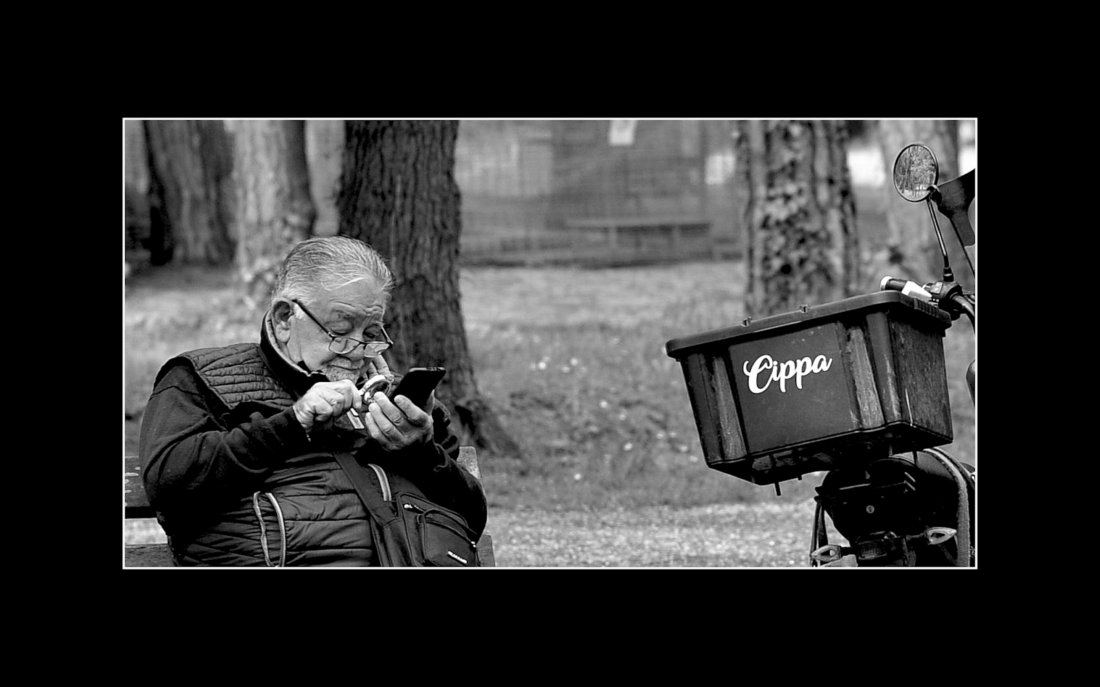 The Cippa...
