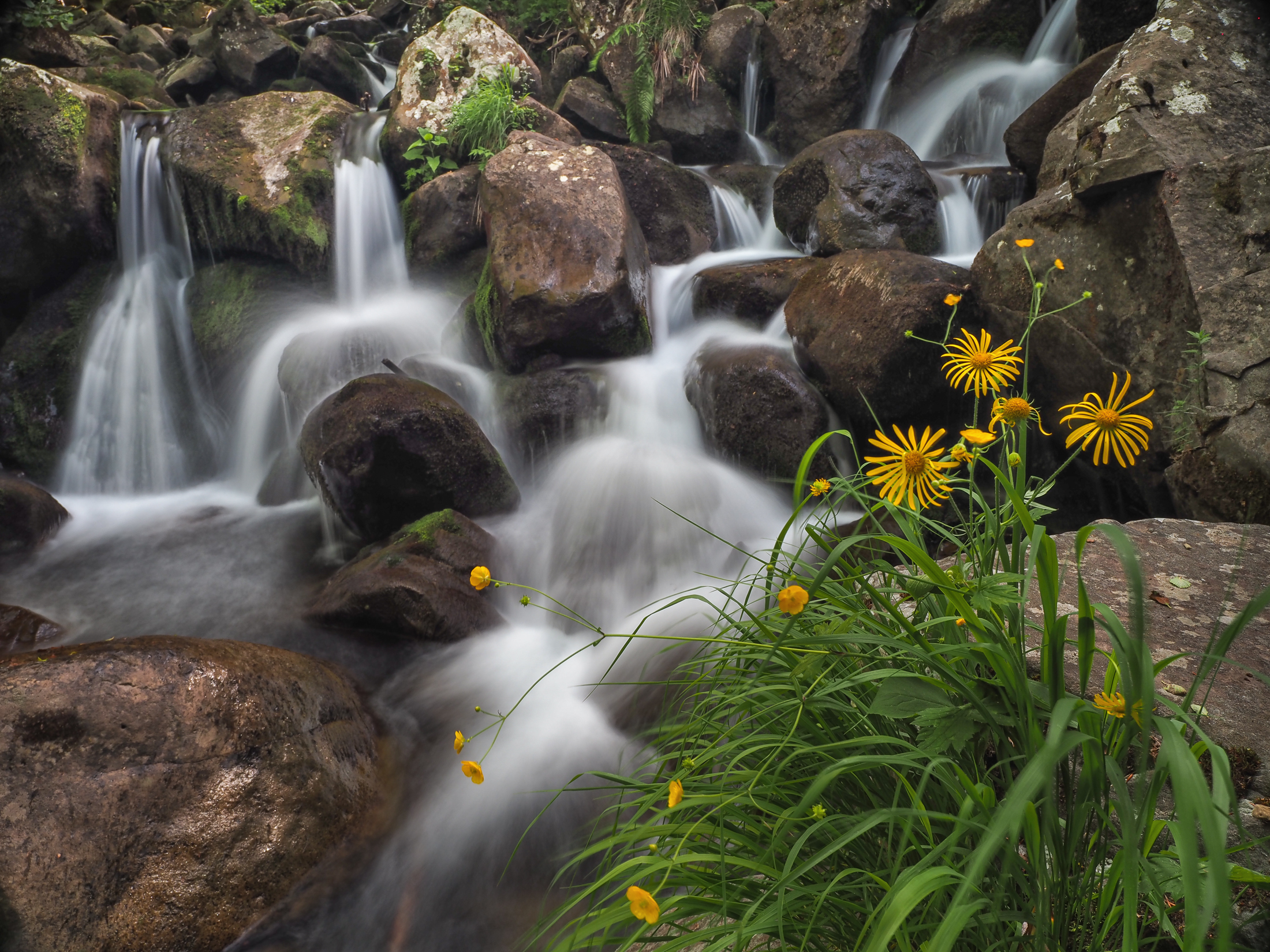 Chiare limpide dolci acque