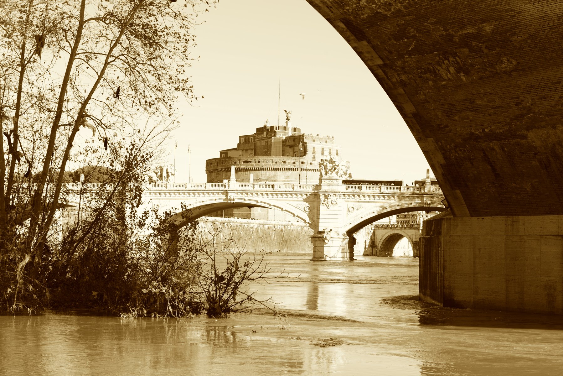 Tiber in full...