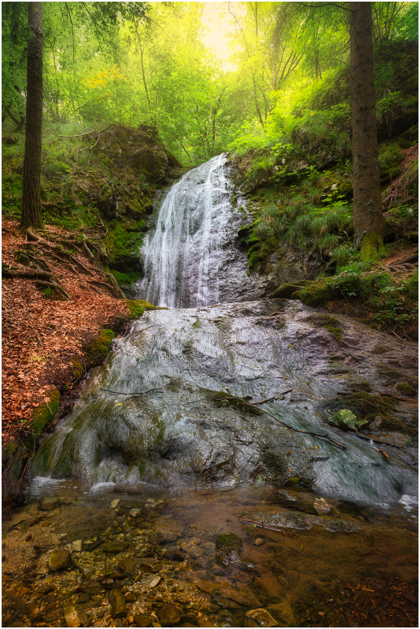 Magreglio, nel bosco...