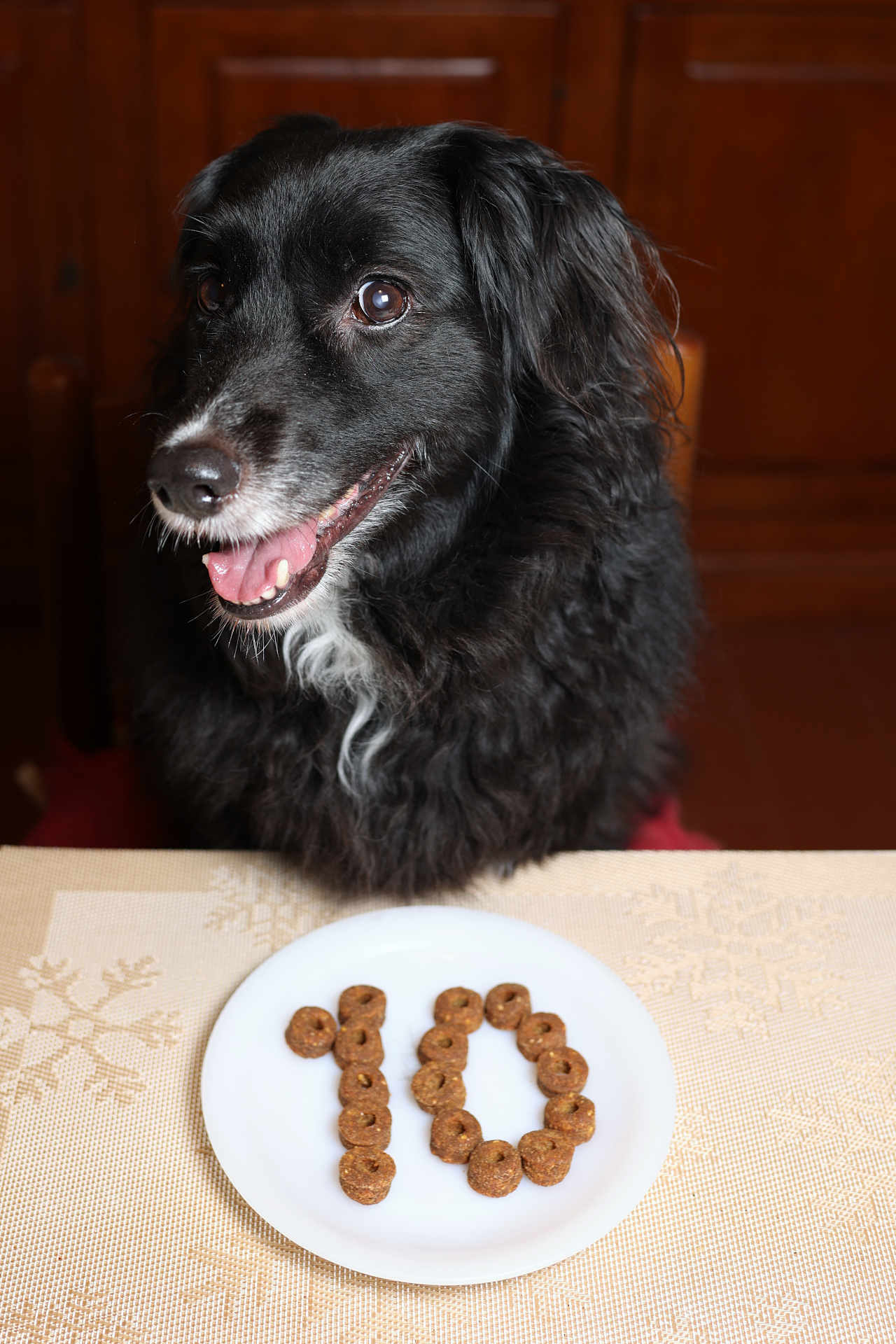 Buon Compleanno Pippa!